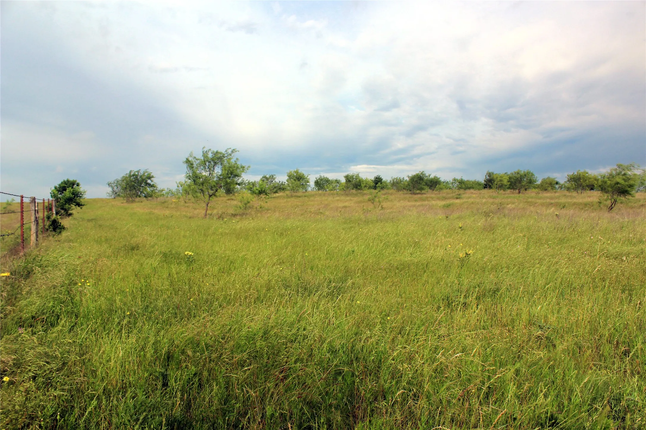 Ranch For Sale in Navarro County , 21481 SW County Road 4040, Dawson, Texas 76639, 0, 0, Garage spaces, 0 Sqft, built in 2002, mls#21128493, Real Estate Agent in Dawson, Homes For Sale in Navarro county, Homes For Sale in Dawson, Realtor in Dawson Texas, Real Estate Brokerage Independent Realty Texas, Luminita Cordes Realtor