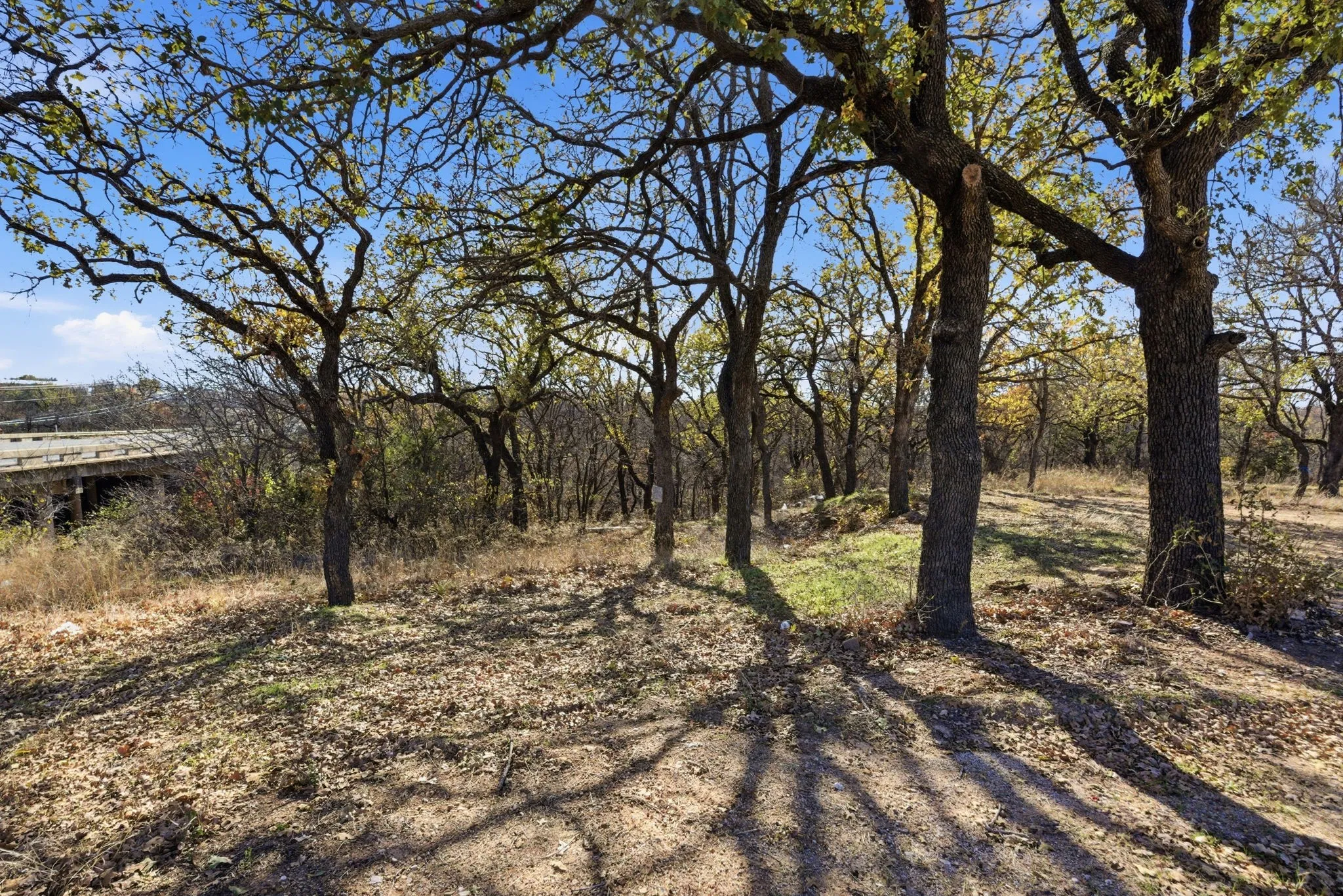 Unimproved Land For Sale in Young County , 2410 State Highway 16 S, Graham, Texas 76450, 0, 0, Garage spaces, 0 Sqft, built in 0, mls#21129899, Real Estate Agent in Graham, Homes For Sale in Young county, Homes For Sale in Graham, Realtor in Graham Texas, Real Estate Brokerage Independent Realty Texas, Luminita Cordes Realtor