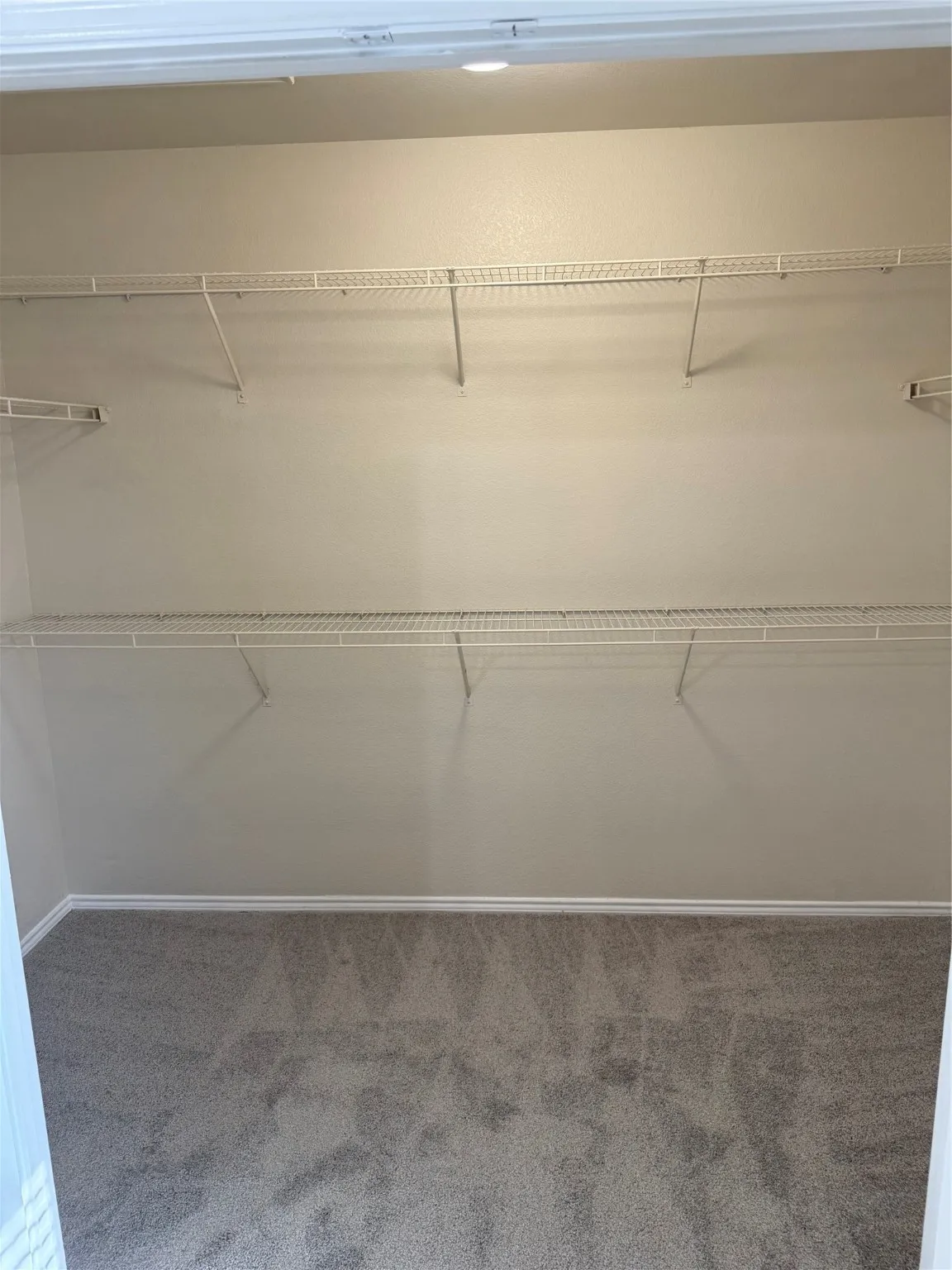 Walk in closet with light carpet