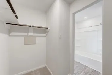 Everglades Primary Closet and Bath