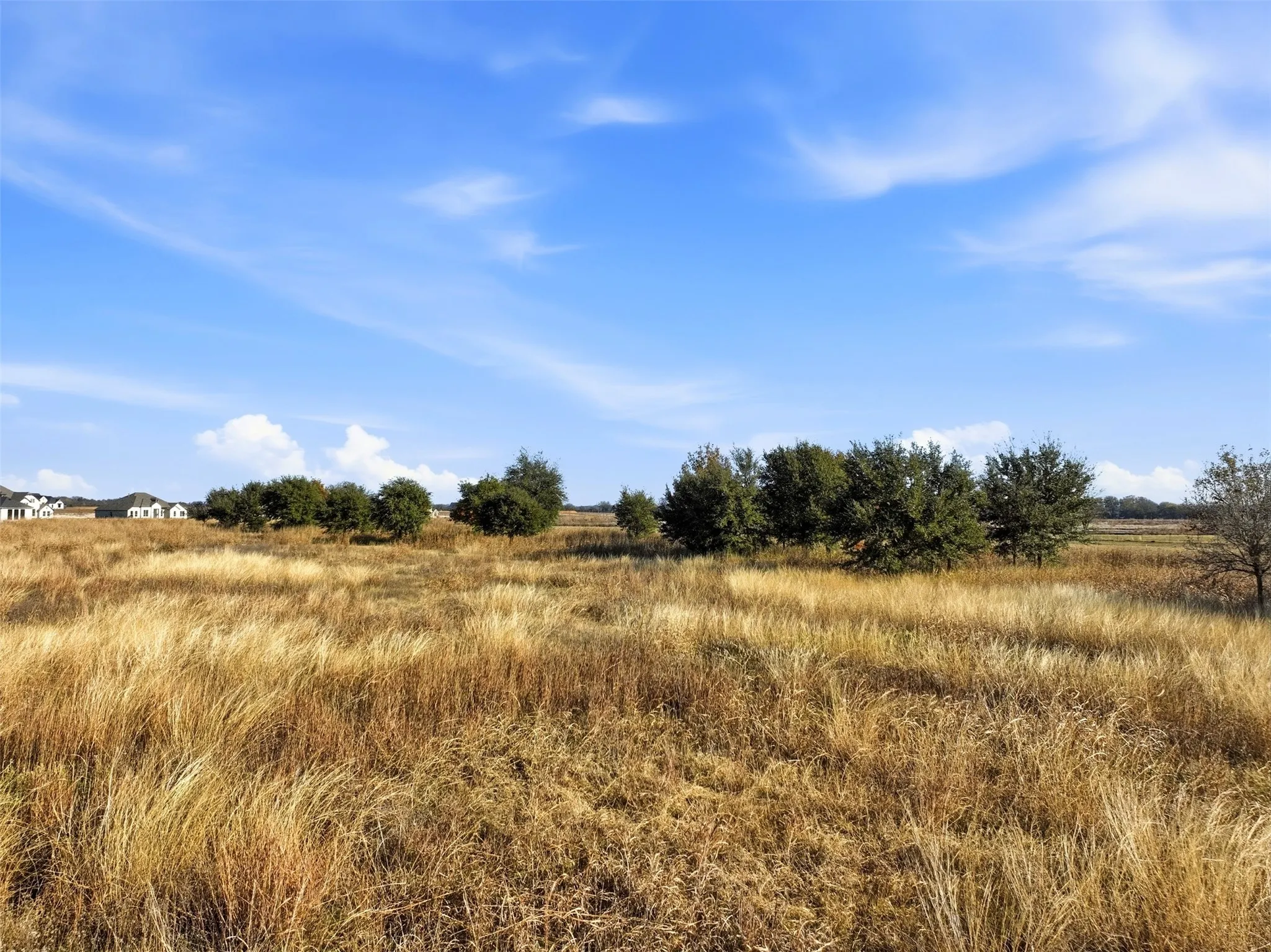 View of local wilderness featuring rural landscape