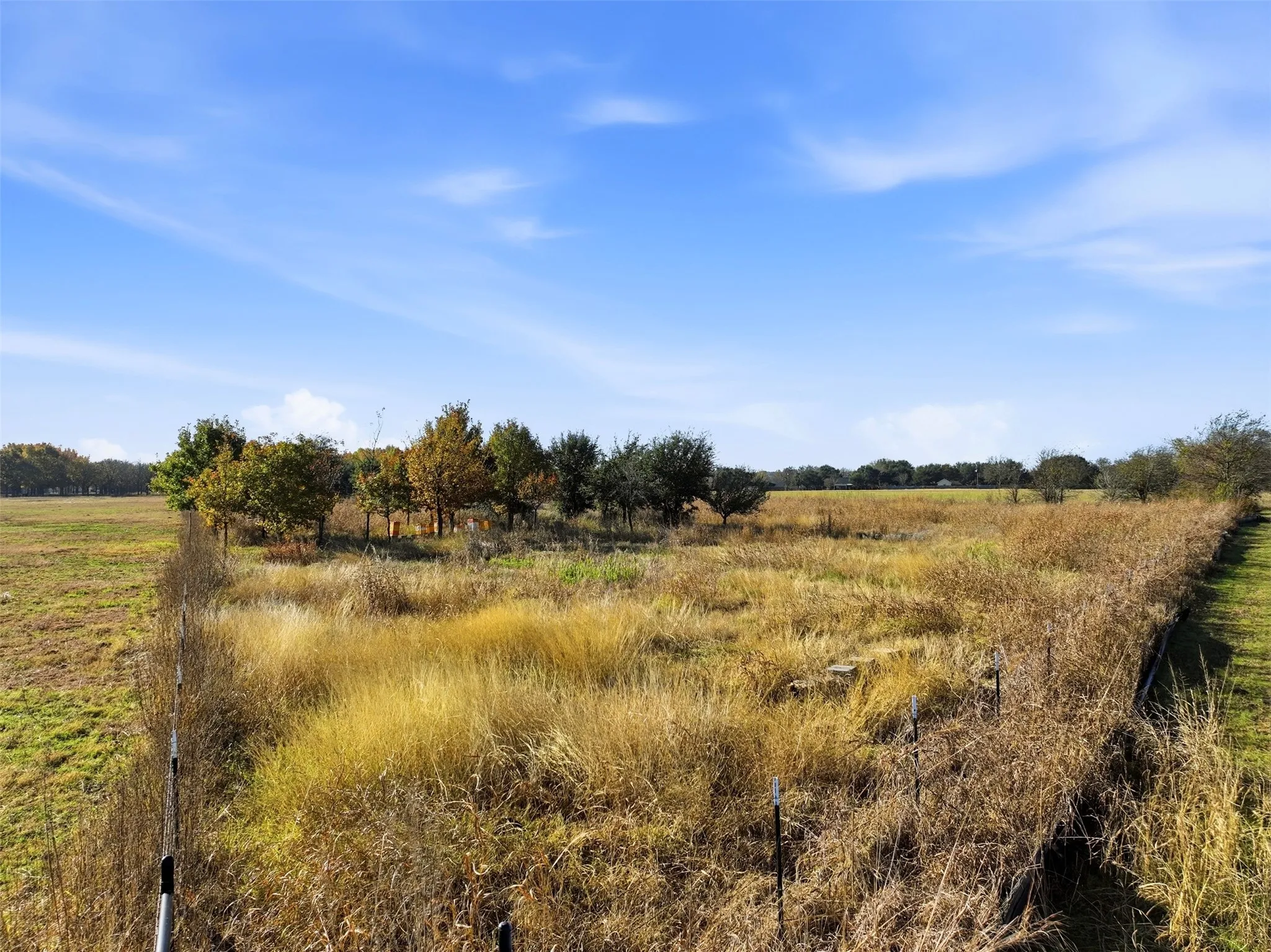 View of local wilderness featuring rural landscape