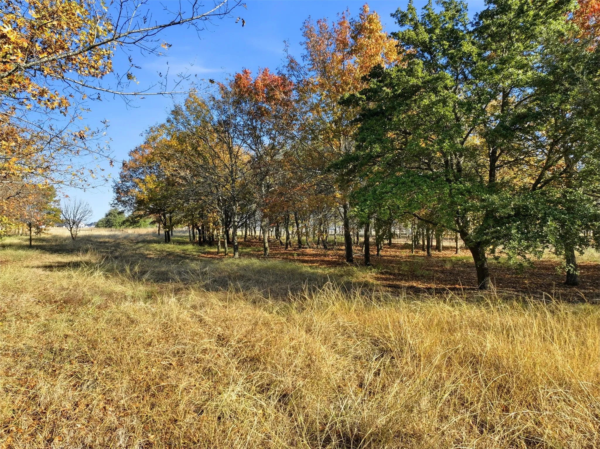 View of nature featuring rural landscape