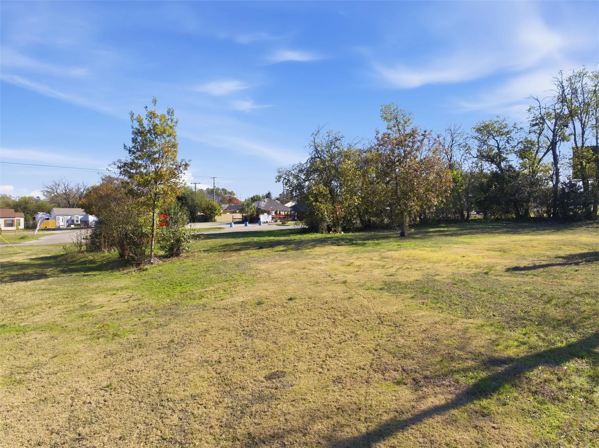View of grassy yard