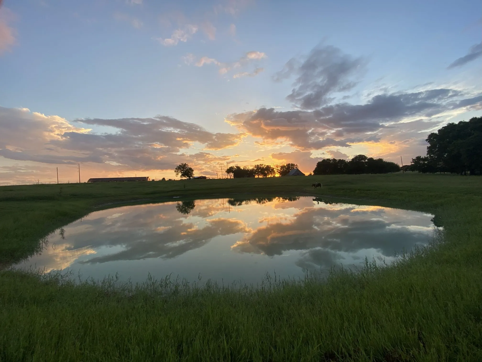 Farm For Sale in Collin County , 10899 County Road 496, Princeton, Texas 75407, 4 Bedroom, 4 Bathroom, 3 Garage spaces, 3,637 Sqft, built in 2008, mls#21130306, Real Estate Agent in Princeton, Homes For Sale in Collin county, Homes For Sale in Princeton, Realtor in Princeton Texas, Real Estate Brokerage Independent Realty Texas, Luminita Cordes Realtor