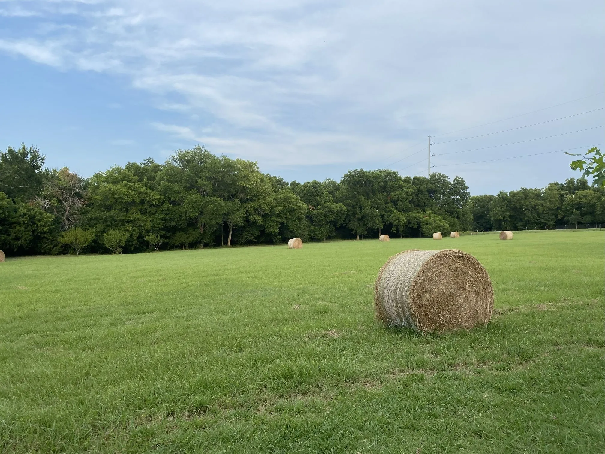 Farm For Sale in Collin County , 10899 County Road 496, Princeton, Texas 75407, 4 Bedroom, 4 Bathroom, 3 Garage spaces, 3,637 Sqft, built in 2008, mls#21130306, Real Estate Agent in Princeton, Homes For Sale in Collin county, Homes For Sale in Princeton, Realtor in Princeton Texas, Real Estate Brokerage Independent Realty Texas, Luminita Cordes Realtor