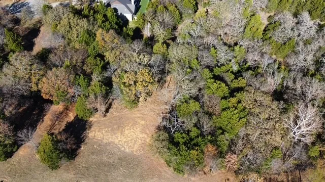 Unimproved Land For Sale in Grayson County , 49 N Oakmont Court, Gordonville, Texas 76245, 0, 0, Garage spaces, 0 Sqft, built in 0, Price $38,000, mls#21127049, Real Estate Agent in Gordonville, Homes For Sale in Grayson county, Homes For Sale in Gordonville, Realtor in Gordonville Texas, Real Estate Brokerage Independent Realty Texas, Luminita Cordes Realtor