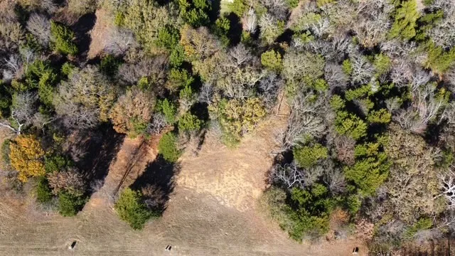 Unimproved Land For Sale in Grayson County , 49 N Oakmont Court, Gordonville, Texas 76245, 0, 0, Garage spaces, 0 Sqft, built in 0, Price $38,000, mls#21127049, Real Estate Agent in Gordonville, Homes For Sale in Grayson county, Homes For Sale in Gordonville, Realtor in Gordonville Texas, Real Estate Brokerage Independent Realty Texas, Luminita Cordes Realtor