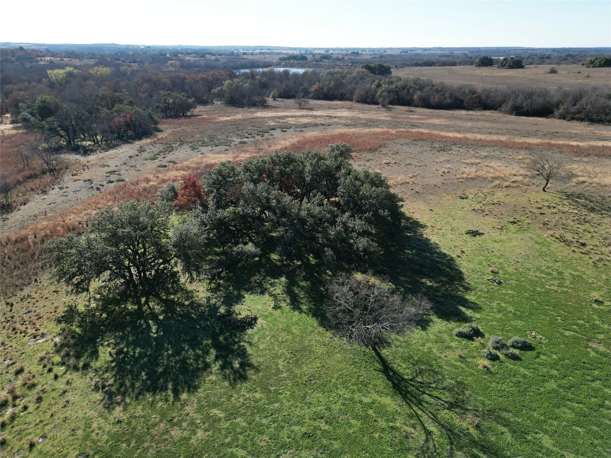 Mobile Home For Sale in Erath County , 5687 County Road 371, Dublin, Texas 76446, 2 Bedroom, 1 Bathroom, Garage spaces, 784 Sqft, built in 1985, mls#21130601, Real Estate Agent in Dublin, Homes For Sale in Erath county, Homes For Sale in Dublin, Realtor in Dublin Texas, Real Estate Brokerage Independent Realty Texas, Luminita Cordes Realtor