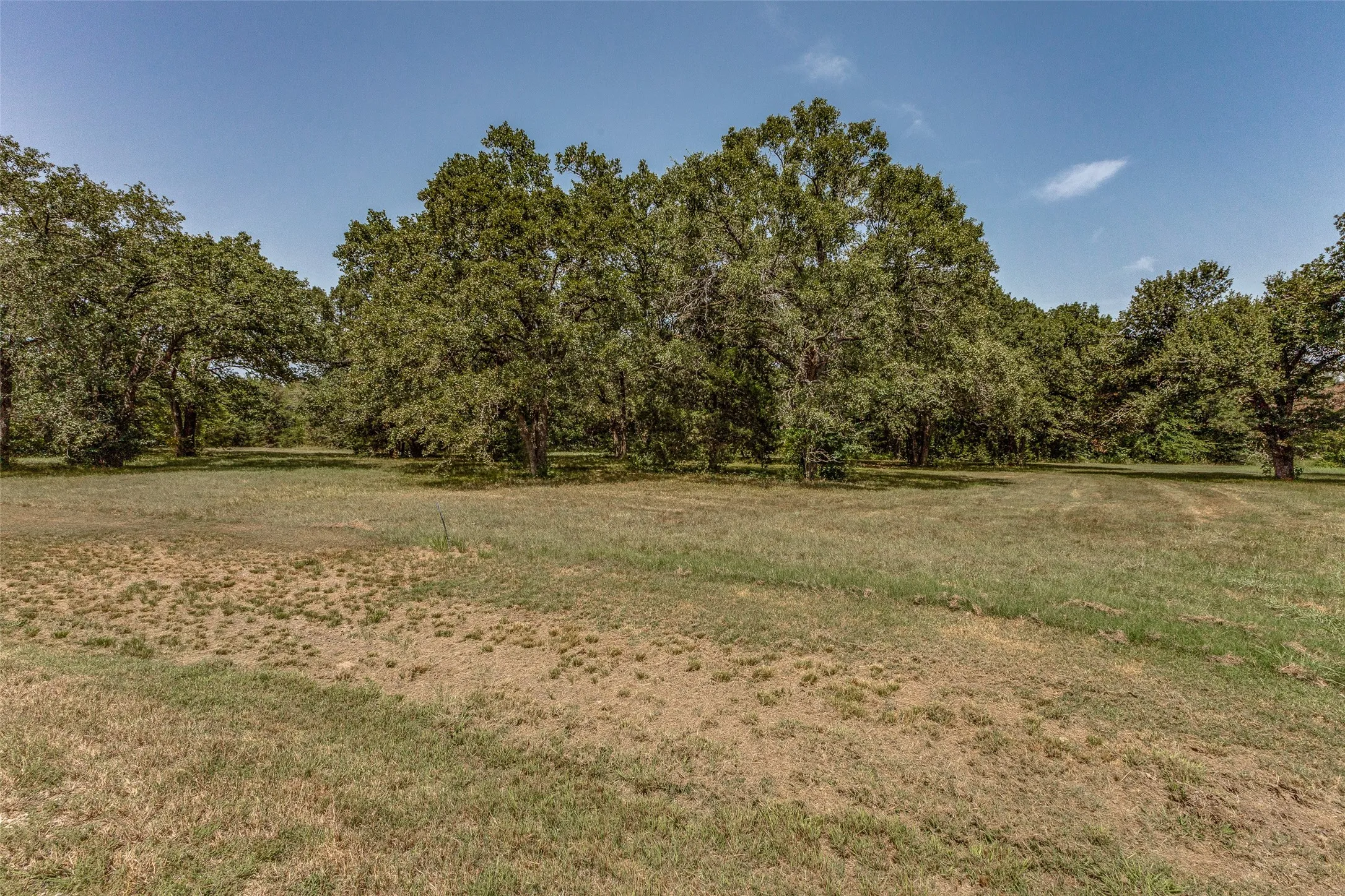 Unimproved Land For Sale in Navarro County , 61573 La Bota, Corsicana, Texas 75109, 0, 0, Garage spaces, 0 Sqft, built in 0, Price $425,000, mls#21129690, Real Estate Agent in Corsicana, Homes For Sale in Navarro county, Homes For Sale in Corsicana, Realtor in Corsicana Texas, Real Estate Brokerage Independent Realty Texas, Luminita Cordes Realtor