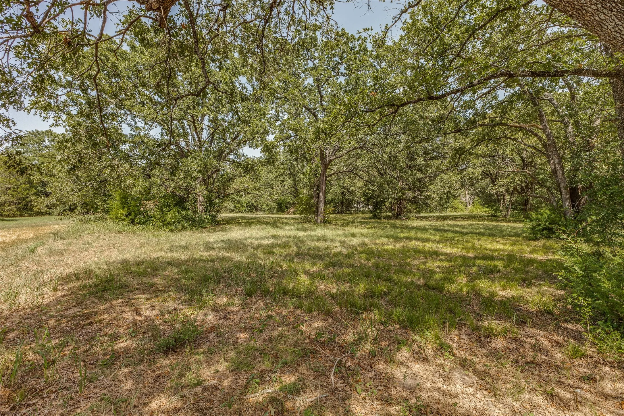 Unimproved Land For Sale in Navarro County , 61573 La Bota, Corsicana, Texas 75109, 0, 0, Garage spaces, 0 Sqft, built in 0, Price $425,000, mls#21129690, Real Estate Agent in Corsicana, Homes For Sale in Navarro county, Homes For Sale in Corsicana, Realtor in Corsicana Texas, Real Estate Brokerage Independent Realty Texas, Luminita Cordes Realtor