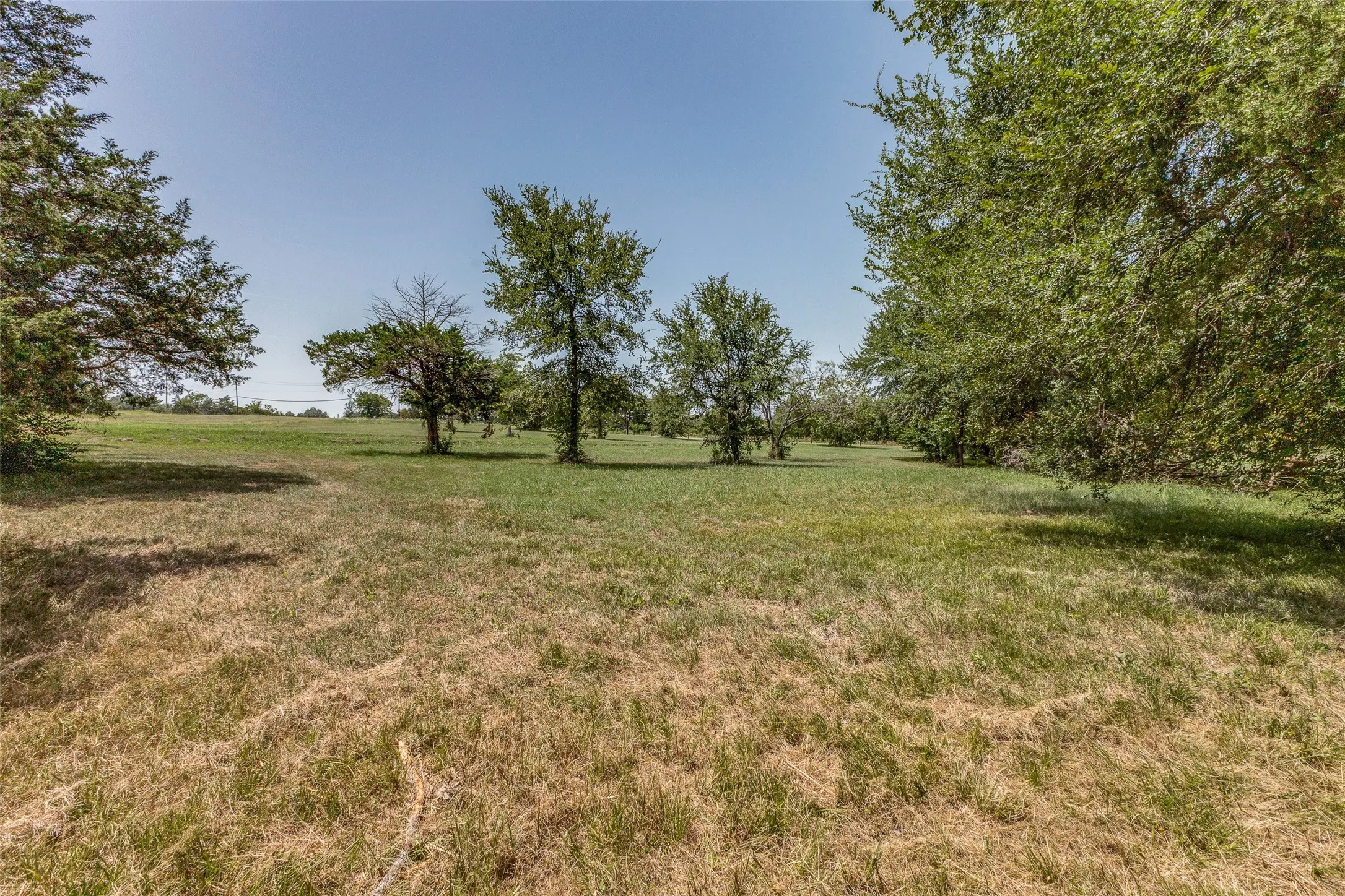 Unimproved Land For Sale in Navarro County , 61573 La Bota, Corsicana, Texas 75109, 0, 0, Garage spaces, 0 Sqft, built in 0, Price $425,000, mls#21129690, Real Estate Agent in Corsicana, Homes For Sale in Navarro county, Homes For Sale in Corsicana, Realtor in Corsicana Texas, Real Estate Brokerage Independent Realty Texas, Luminita Cordes Realtor