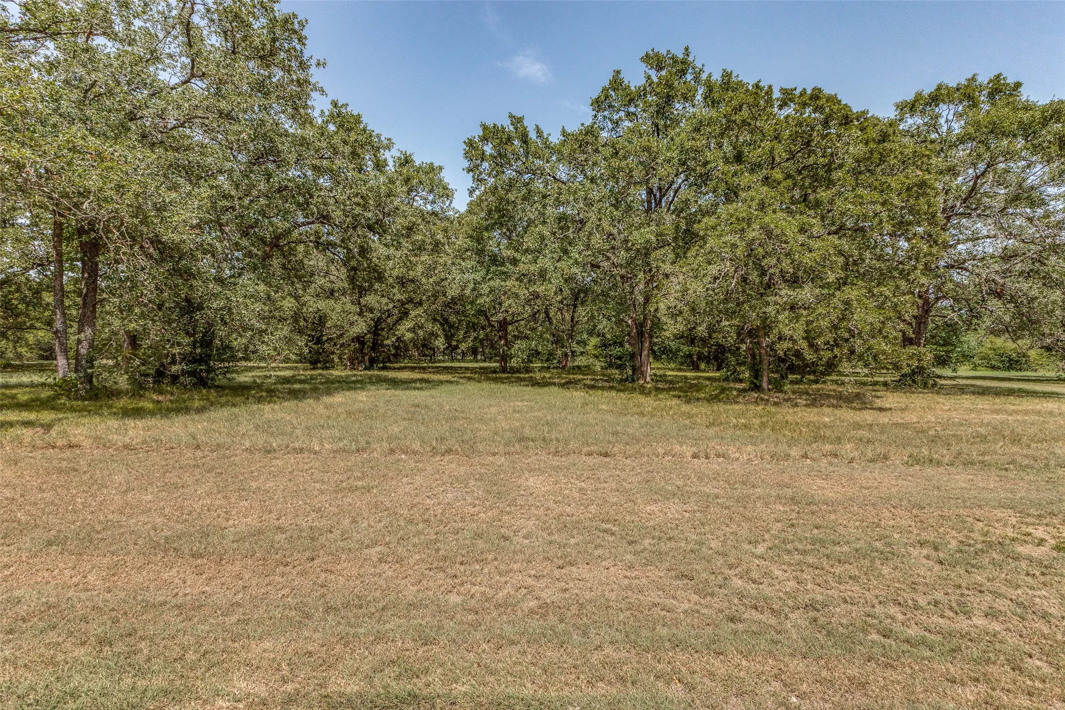 Unimproved Land For Sale in Navarro County , 61573 La Bota, Corsicana, Texas 75109, 0, 0, Garage spaces, 0 Sqft, built in 0, Price $425,000, mls#21129690, Real Estate Agent in Corsicana, Homes For Sale in Navarro county, Homes For Sale in Corsicana, Realtor in Corsicana Texas, Real Estate Brokerage Independent Realty Texas, Luminita Cordes Realtor