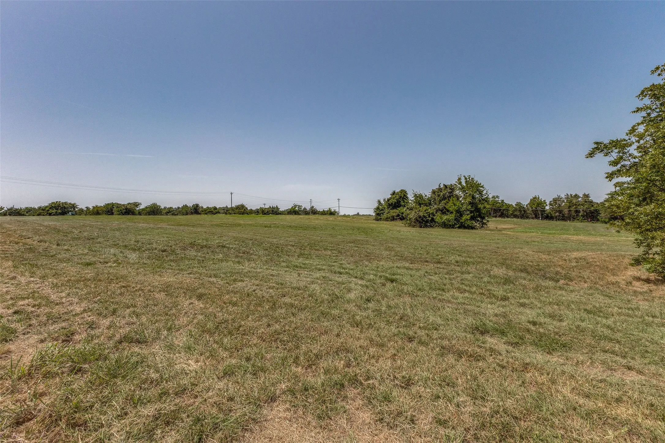 Lots of acreage for horses to roam