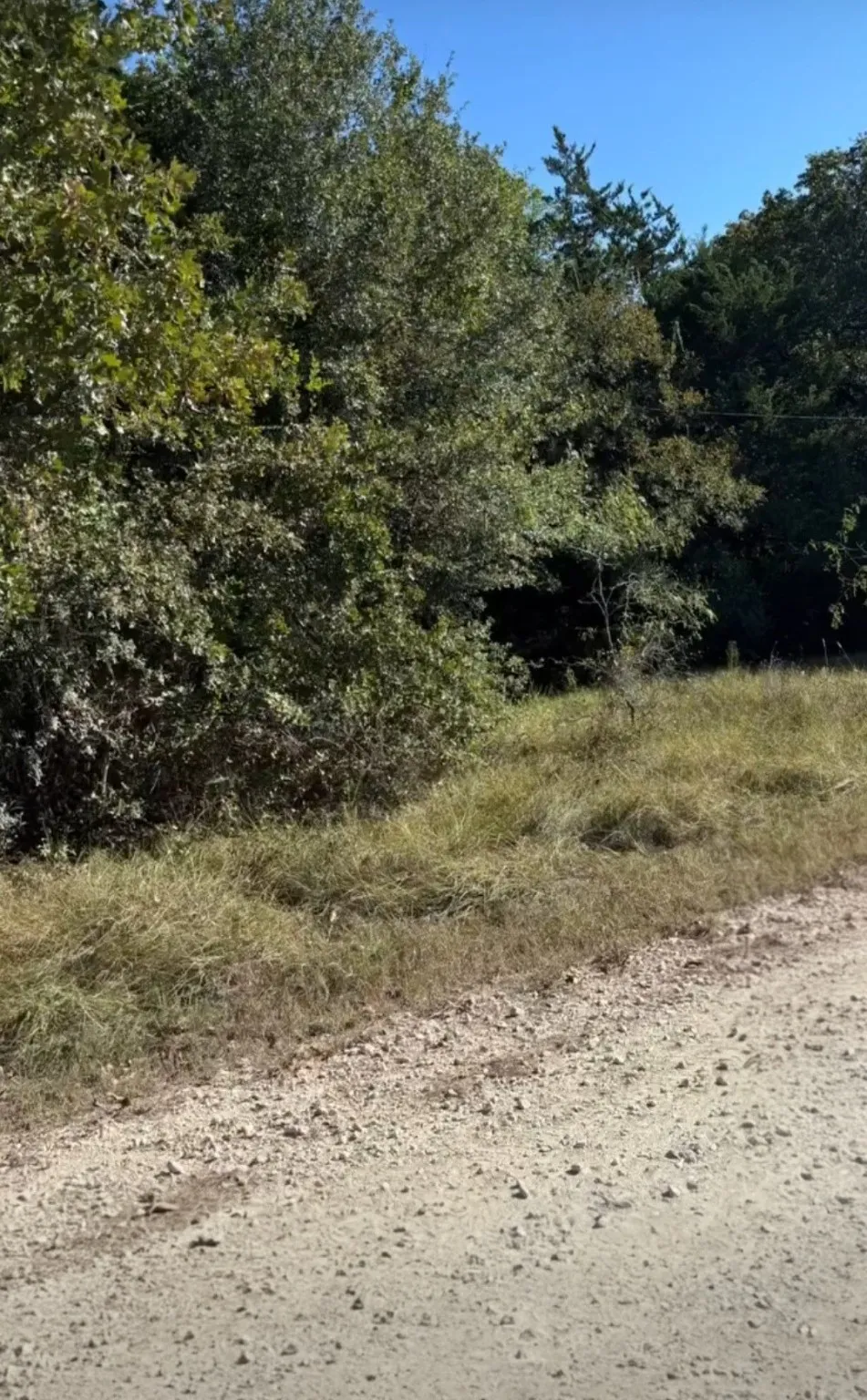 Unimproved Land For Sale in Navarro County , TBD NW County Road 3112, Purdon, Texas 76679, 0, 0, Garage spaces, 0 Sqft, built in 0, Price $19,000, mls#21130904, Real Estate Agent in Purdon, Homes For Sale in Navarro county, Homes For Sale in Purdon, Realtor in Purdon Texas, Real Estate Brokerage Independent Realty Texas, Luminita Cordes Realtor