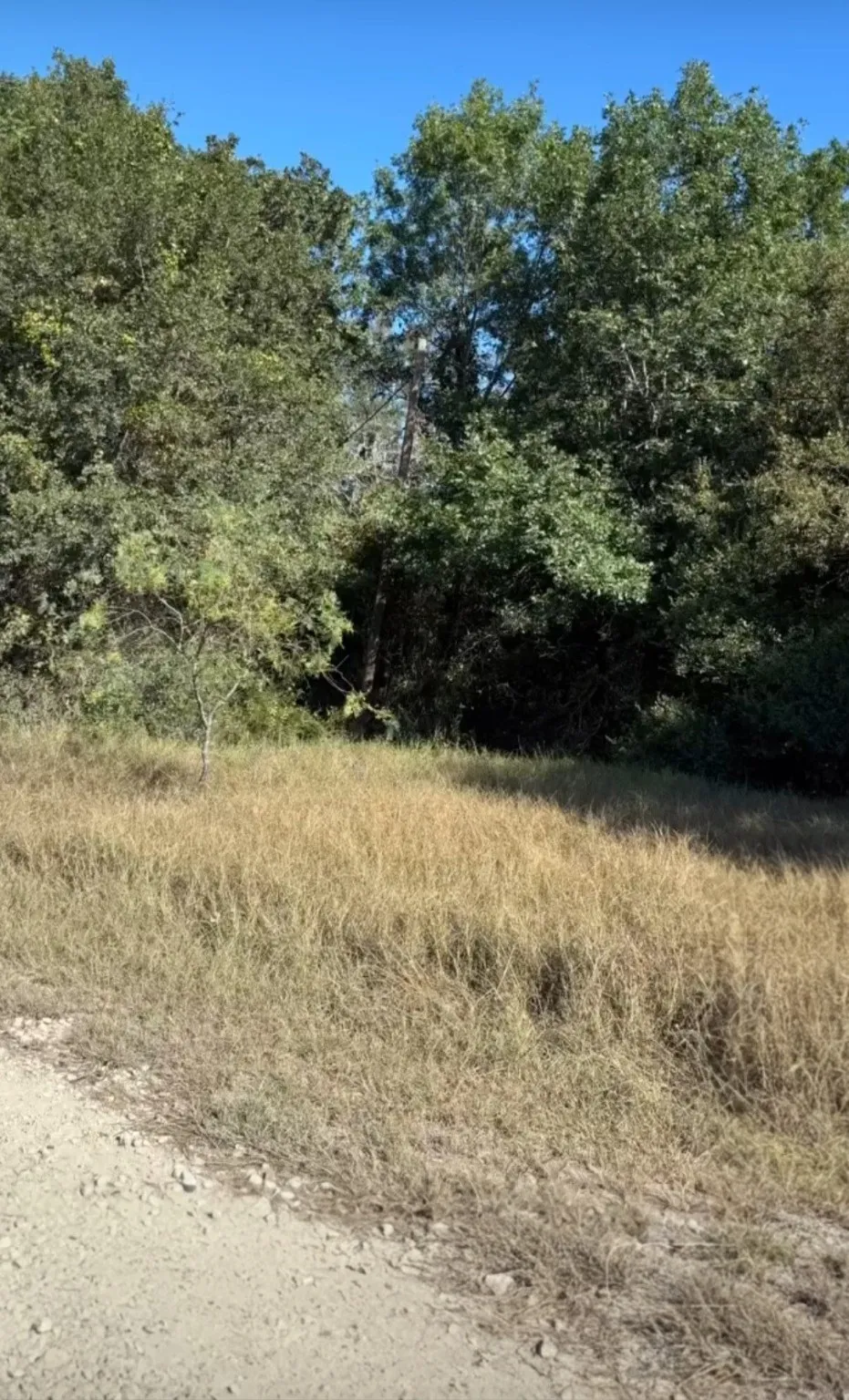 Unimproved Land For Sale in Navarro County , TBD NW County Road 3112, Purdon, Texas 76679, 0, 0, Garage spaces, 0 Sqft, built in 0, Price $19,000, mls#21130904, Real Estate Agent in Purdon, Homes For Sale in Navarro county, Homes For Sale in Purdon, Realtor in Purdon Texas, Real Estate Brokerage Independent Realty Texas, Luminita Cordes Realtor