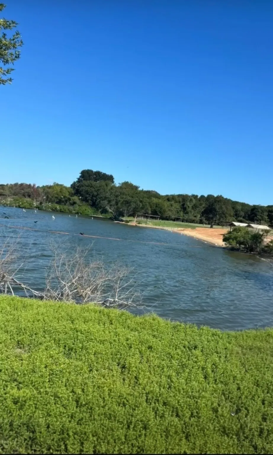 Unimproved Land For Sale in Navarro County , TBD NW County Road 3112, Purdon, Texas 76679, 0, 0, Garage spaces, 0 Sqft, built in 0, Price $19,000, mls#21130904, Real Estate Agent in Purdon, Homes For Sale in Navarro county, Homes For Sale in Purdon, Realtor in Purdon Texas, Real Estate Brokerage Independent Realty Texas, Luminita Cordes Realtor