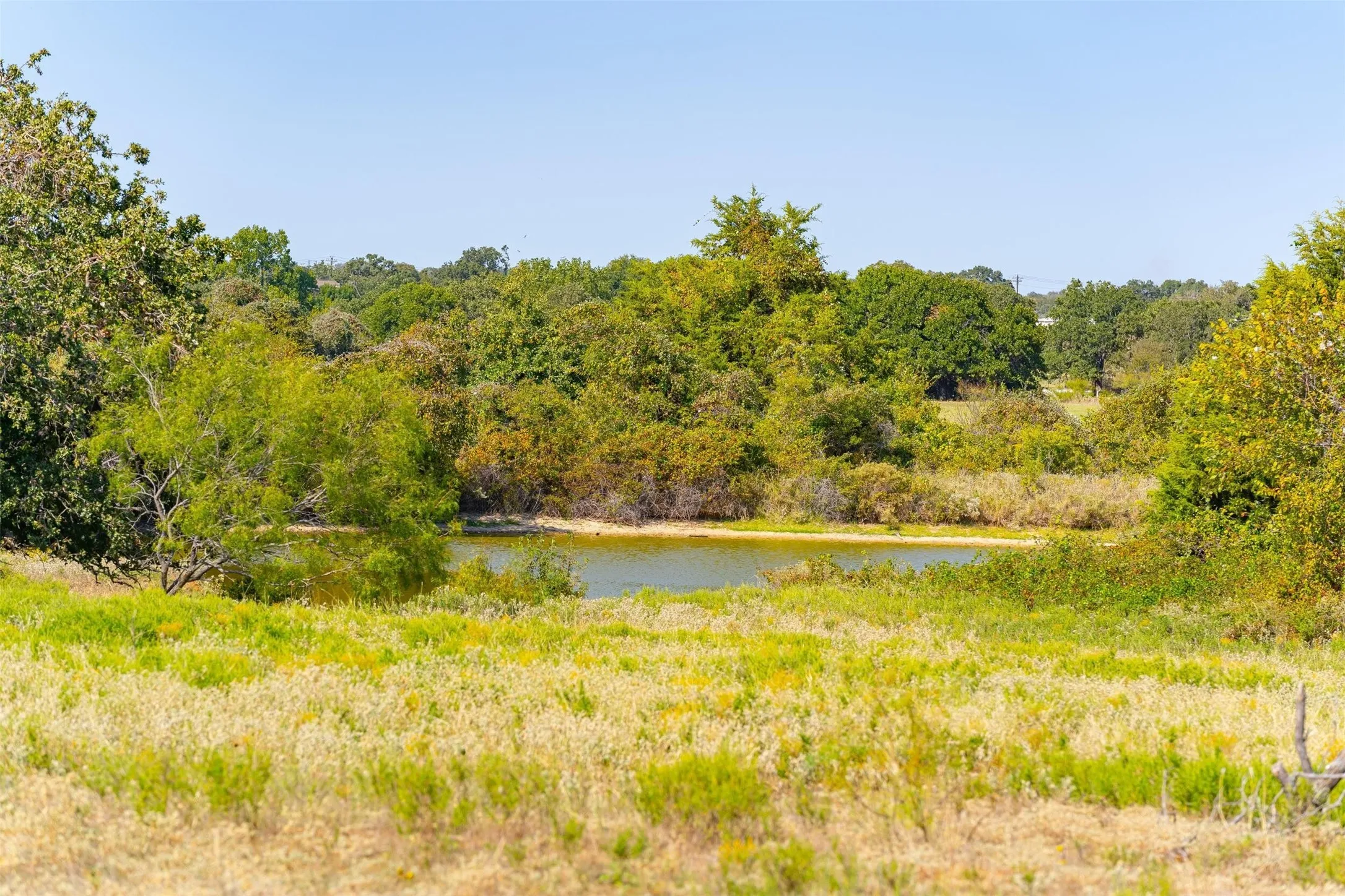 Ranch For Sale in Wise County , 3500 S Murvil Street, Decatur, Texas 76234, 0, 0, Garage spaces, 0 Sqft, built in 0, mls#21130984, Real Estate Agent in Decatur, Homes For Sale in Wise county, Homes For Sale in Decatur, Realtor in Decatur Texas, Real Estate Brokerage Independent Realty Texas, Luminita Cordes Realtor