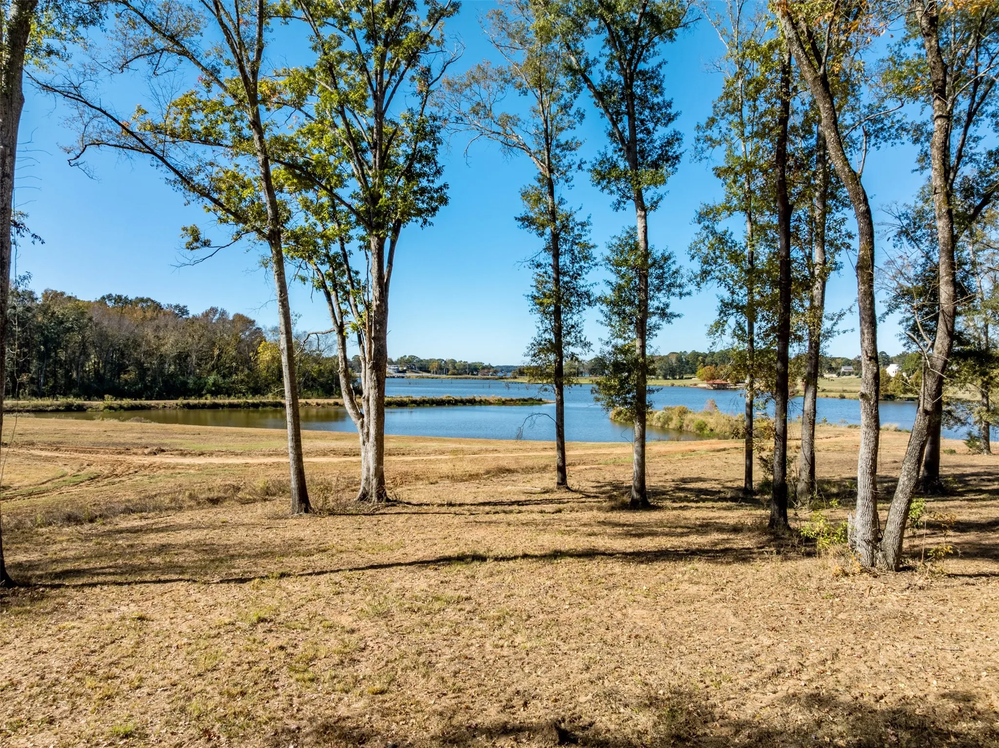Improved Land For Sale in Smith County , 0 Carolina Drive, Bullard, Texas 75757, 0, 0, Garage spaces, 0 Sqft, built in 0, Price $319,000, mls#21131117, Real Estate Agent in Bullard, Homes For Sale in Smith county, Homes For Sale in Bullard, Realtor in Bullard Texas, Real Estate Brokerage Independent Realty Texas, Luminita Cordes Realtor
