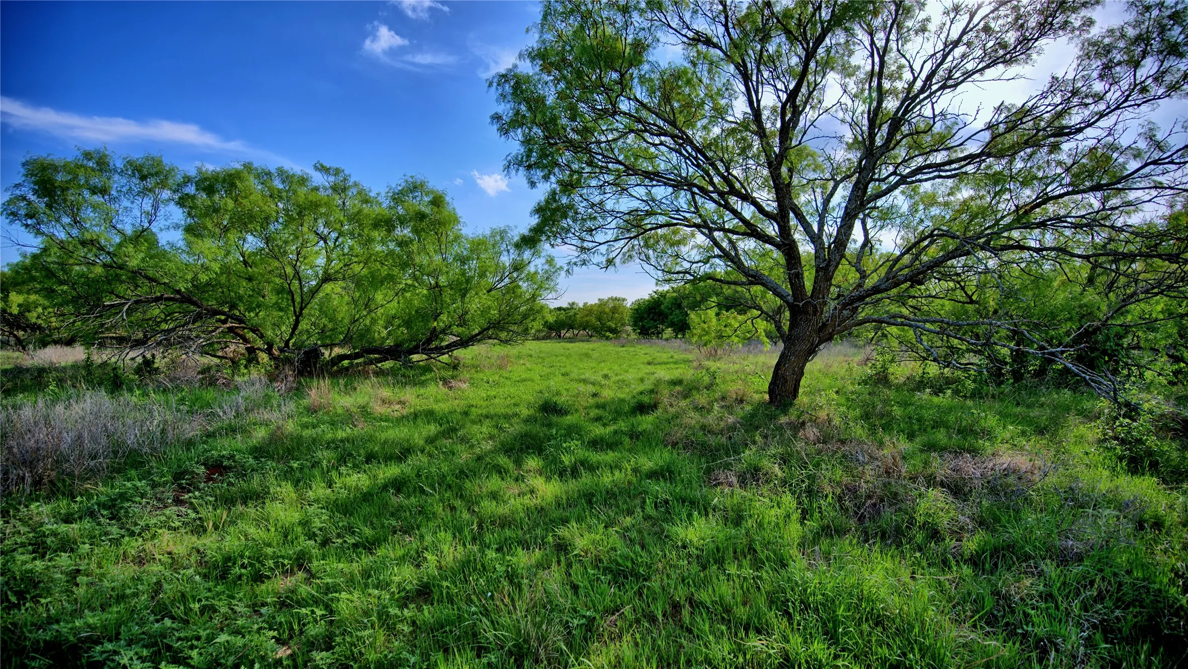Single Family Residence For Sale in Montague County , 802 Fm 2634, Nocona, Texas 76255, 2 Bedroom, 2 Bathroom, 3 Garage spaces, 1,032 Sqft, built in 2017, Preowned, mls#21129407, Real Estate Agent in Nocona, Homes For Sale in Montague county, Homes For Sale in Nocona, Realtor in Nocona Texas, Real Estate Brokerage Independent Realty Texas, Luminita Cordes Realtor