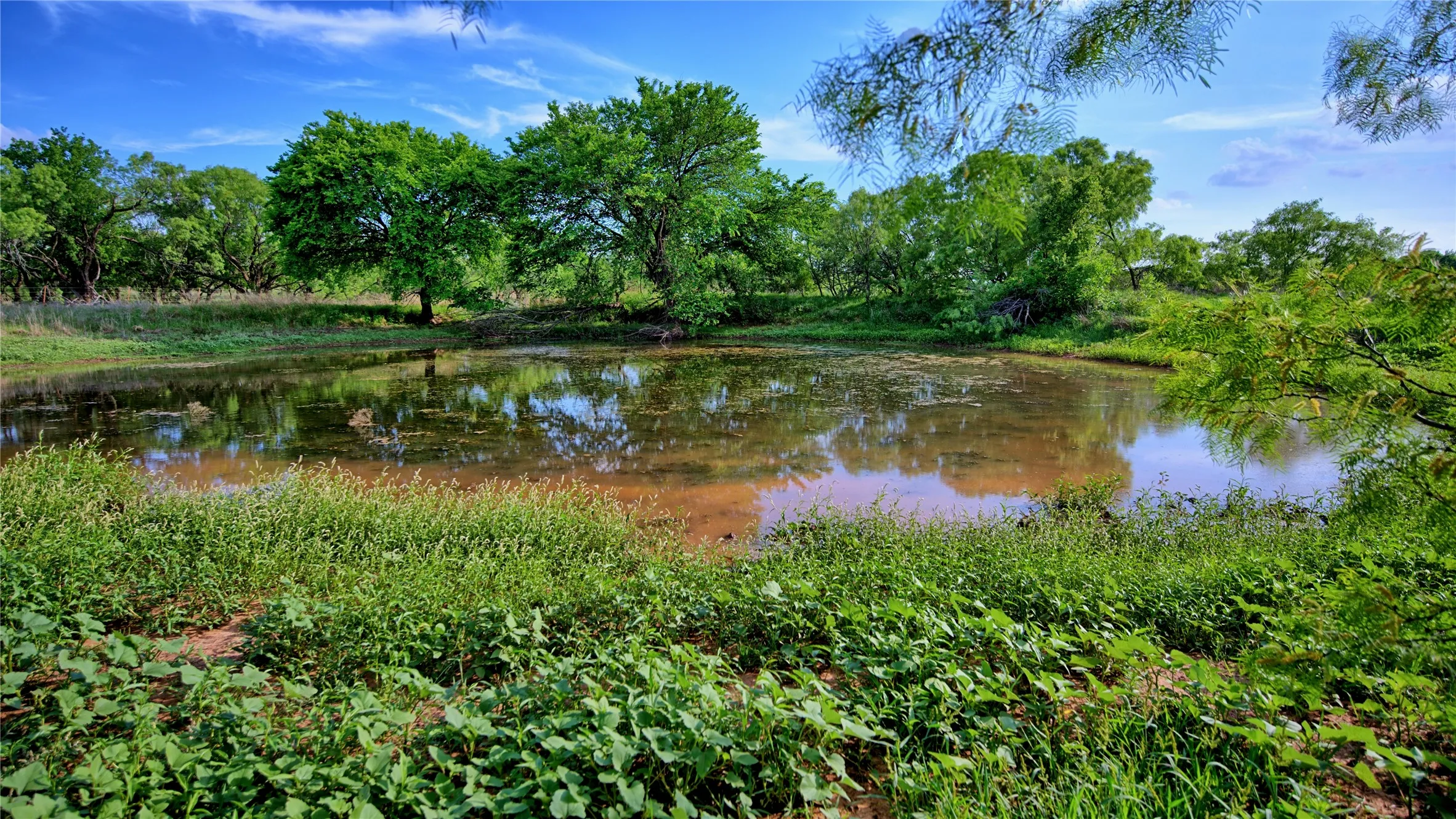 Single Family Residence For Sale in Montague County , 802 Fm 2634, Nocona, Texas 76255, 2 Bedroom, 2 Bathroom, 3 Garage spaces, 1,032 Sqft, built in 2017, Preowned, mls#21129407, Real Estate Agent in Nocona, Homes For Sale in Montague county, Homes For Sale in Nocona, Realtor in Nocona Texas, Real Estate Brokerage Independent Realty Texas, Luminita Cordes Realtor