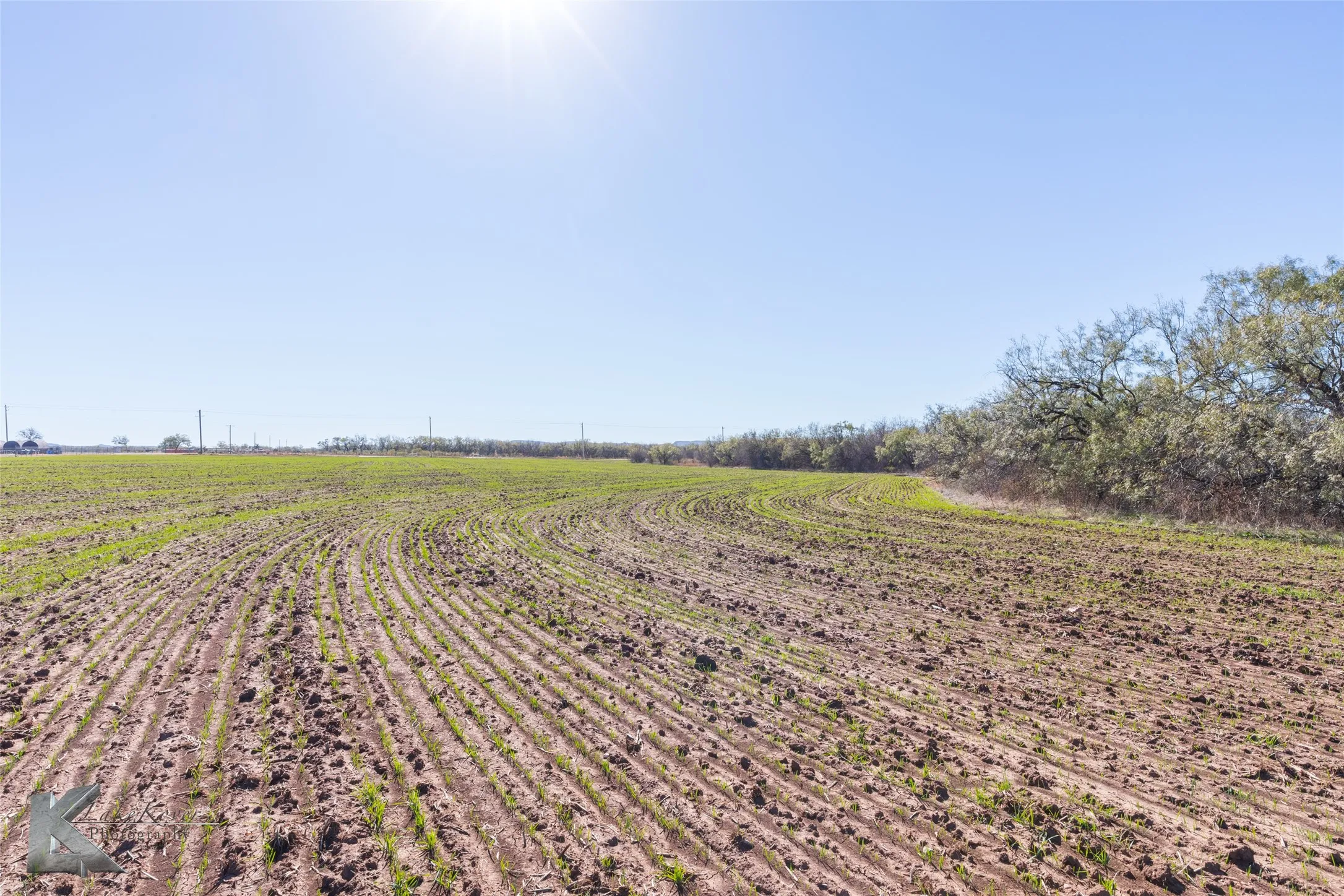 Unimproved Land For Sale in Taylor County , TBD 26 S Fm-707, Abilene, Texas 79606, 0, 0, Garage spaces, 0 Sqft, built in 0, Price $895,000, mls#21126457, Real Estate Agent in Abilene, Homes For Sale in Taylor county, Homes For Sale in Abilene, Realtor in Abilene Texas, Real Estate Brokerage Independent Realty Texas, Luminita Cordes Realtor