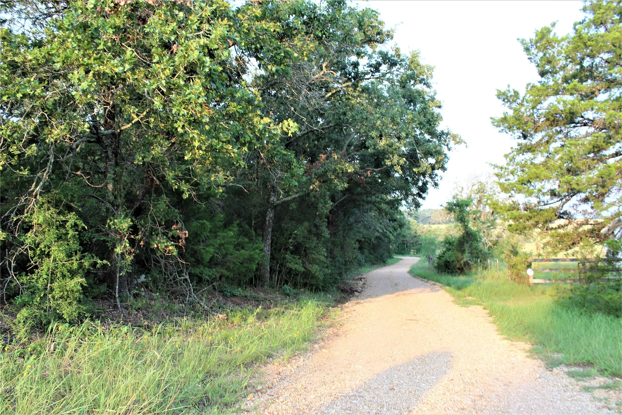 Unimproved Land For Sale in Milam County , 29 Co Rd 271A, Cameron, Texas 76520, 0, 0, Garage spaces, 0 Sqft, built in 0, mls#21131280, Real Estate Agent in Cameron, Homes For Sale in Milam county, Homes For Sale in Cameron, Realtor in Cameron Texas, Real Estate Brokerage Independent Realty Texas, Luminita Cordes Realtor
