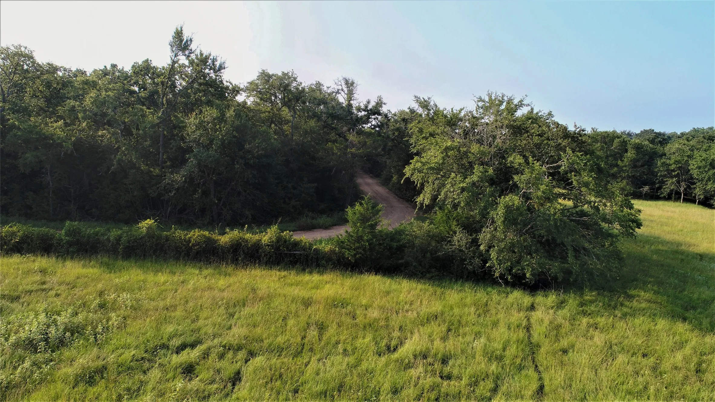 Unimproved Land For Sale in Milam County , 29 Co Rd 271A, Cameron, Texas 76520, 0, 0, Garage spaces, 0 Sqft, built in 0, mls#21131280, Real Estate Agent in Cameron, Homes For Sale in Milam county, Homes For Sale in Cameron, Realtor in Cameron Texas, Real Estate Brokerage Independent Realty Texas, Luminita Cordes Realtor