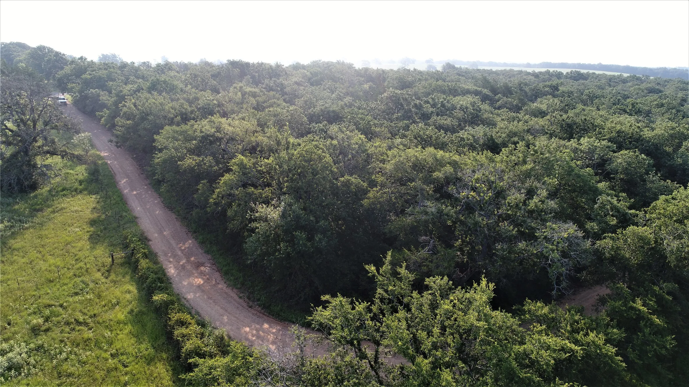 Unimproved Land For Sale in Milam County , 29 Co Rd 271A, Cameron, Texas 76520, 0, 0, Garage spaces, 0 Sqft, built in 0, mls#21131280, Real Estate Agent in Cameron, Homes For Sale in Milam county, Homes For Sale in Cameron, Realtor in Cameron Texas, Real Estate Brokerage Independent Realty Texas, Luminita Cordes Realtor
