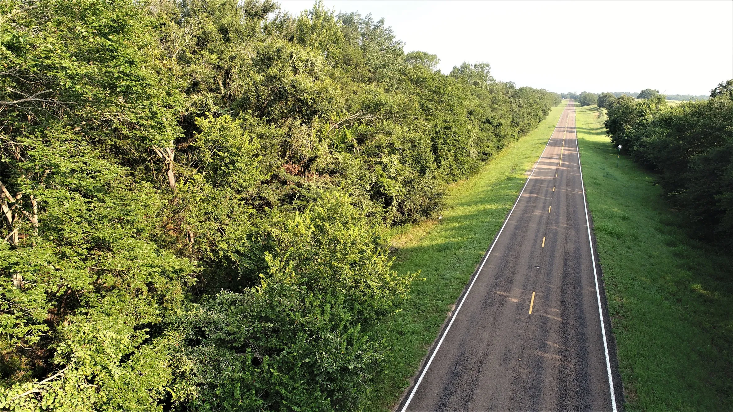 Unimproved Land For Sale in Milam County , 29 Co Rd 271A, Cameron, Texas 76520, 0, 0, Garage spaces, 0 Sqft, built in 0, mls#21131280, Real Estate Agent in Cameron, Homes For Sale in Milam county, Homes For Sale in Cameron, Realtor in Cameron Texas, Real Estate Brokerage Independent Realty Texas, Luminita Cordes Realtor