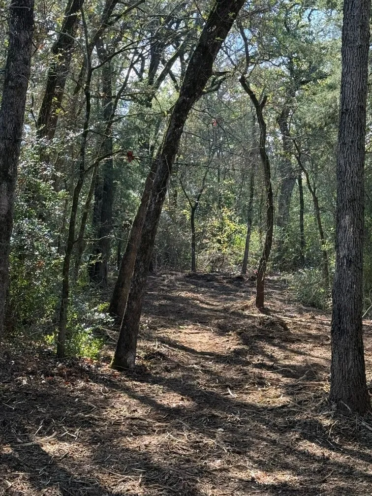 Unimproved Land For Sale in Milam County , 29 Co Rd 271A, Cameron, Texas 76520, 0, 0, Garage spaces, 0 Sqft, built in 0, mls#21131280, Real Estate Agent in Cameron, Homes For Sale in Milam county, Homes For Sale in Cameron, Realtor in Cameron Texas, Real Estate Brokerage Independent Realty Texas, Luminita Cordes Realtor