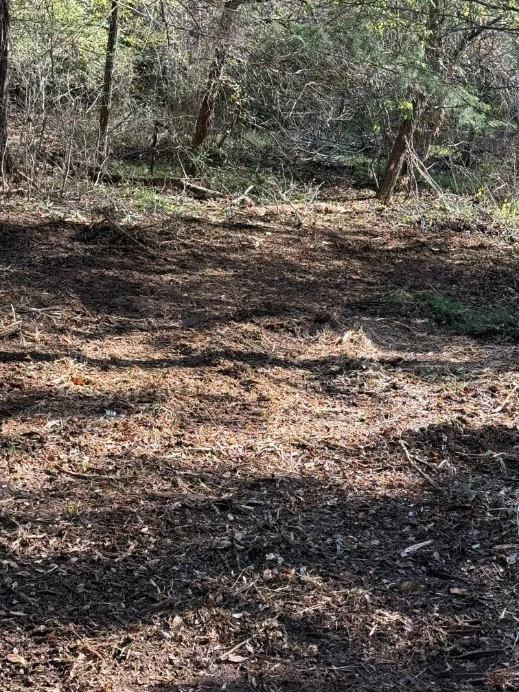 Unimproved Land For Sale in Milam County , 29 Co Rd 271A, Cameron, Texas 76520, 0, 0, Garage spaces, 0 Sqft, built in 0, mls#21131280, Real Estate Agent in Cameron, Homes For Sale in Milam county, Homes For Sale in Cameron, Realtor in Cameron Texas, Real Estate Brokerage Independent Realty Texas, Luminita Cordes Realtor
