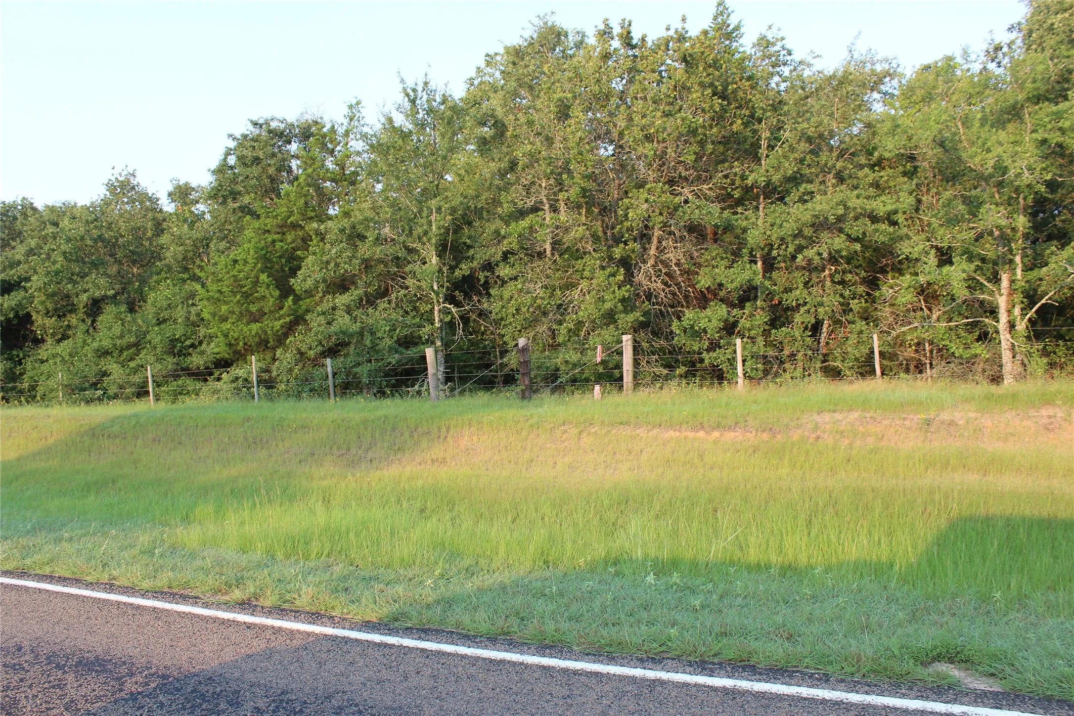 Unimproved Land For Sale in Milam County , 29 Co Rd 271A, Cameron, Texas 76520, 0, 0, Garage spaces, 0 Sqft, built in 0, mls#21131280, Real Estate Agent in Cameron, Homes For Sale in Milam county, Homes For Sale in Cameron, Realtor in Cameron Texas, Real Estate Brokerage Independent Realty Texas, Luminita Cordes Realtor