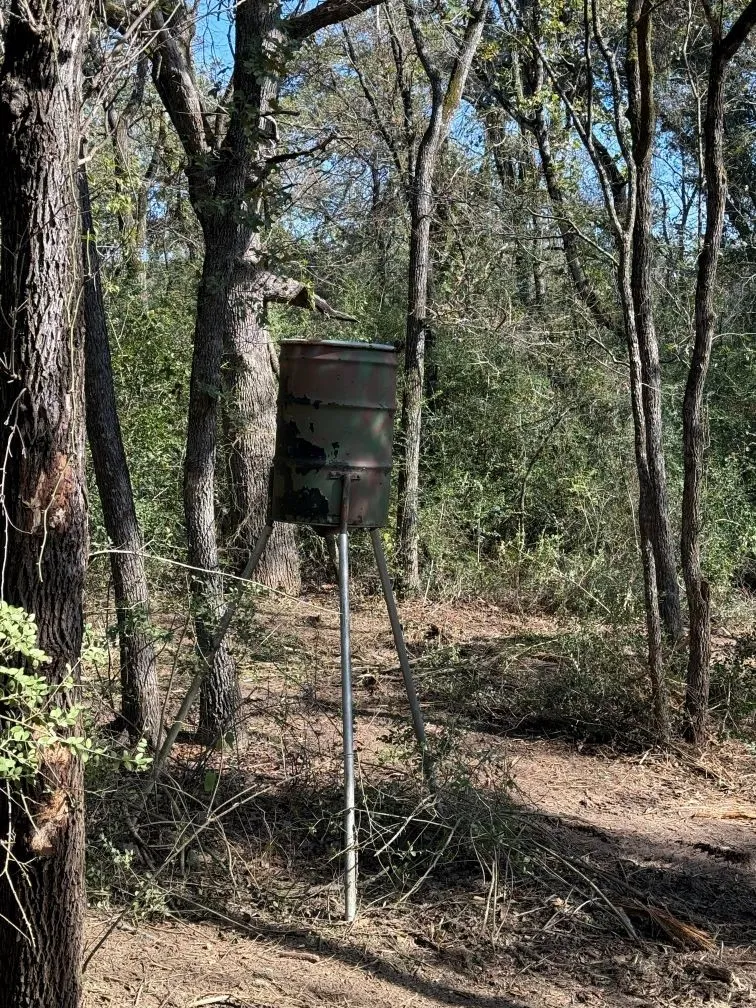 Unimproved Land For Sale in Milam County , 29 Co Rd 271A, Cameron, Texas 76520, 0, 0, Garage spaces, 0 Sqft, built in 0, mls#21131280, Real Estate Agent in Cameron, Homes For Sale in Milam county, Homes For Sale in Cameron, Realtor in Cameron Texas, Real Estate Brokerage Independent Realty Texas, Luminita Cordes Realtor