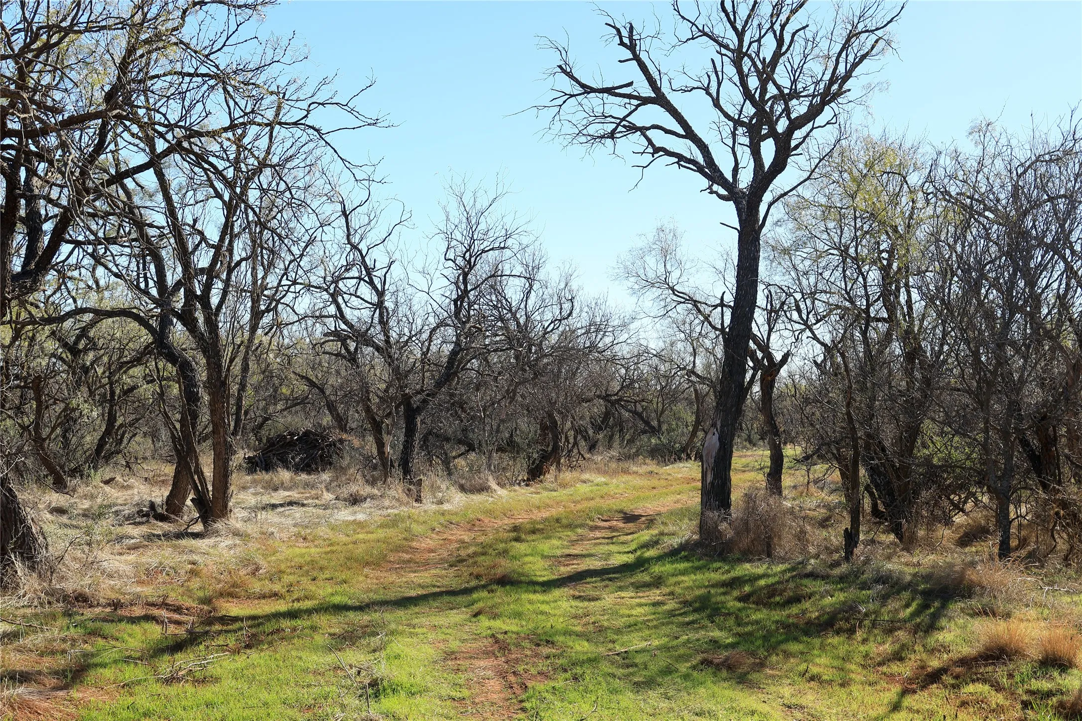 Unimproved Land For Sale in Taylor County , TBD 42 County Road 318, Abilene, Texas 79606, 0, 0, Garage spaces, 0 Sqft, built in 0, Price $475,000, mls#21130831, Real Estate Agent in Abilene, Homes For Sale in Taylor county, Homes For Sale in Abilene, Realtor in Abilene Texas, Real Estate Brokerage Independent Realty Texas, Luminita Cordes Realtor