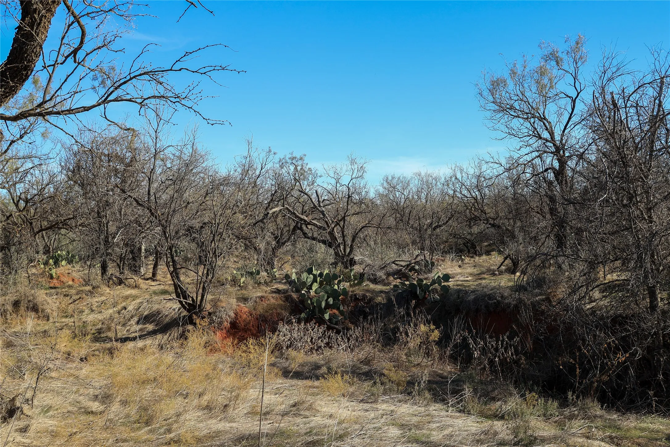 Unimproved Land For Sale in Taylor County , TBD 42 County Road 318, Abilene, Texas 79606, 0, 0, Garage spaces, 0 Sqft, built in 0, Price $475,000, mls#21130831, Real Estate Agent in Abilene, Homes For Sale in Taylor county, Homes For Sale in Abilene, Realtor in Abilene Texas, Real Estate Brokerage Independent Realty Texas, Luminita Cordes Realtor
