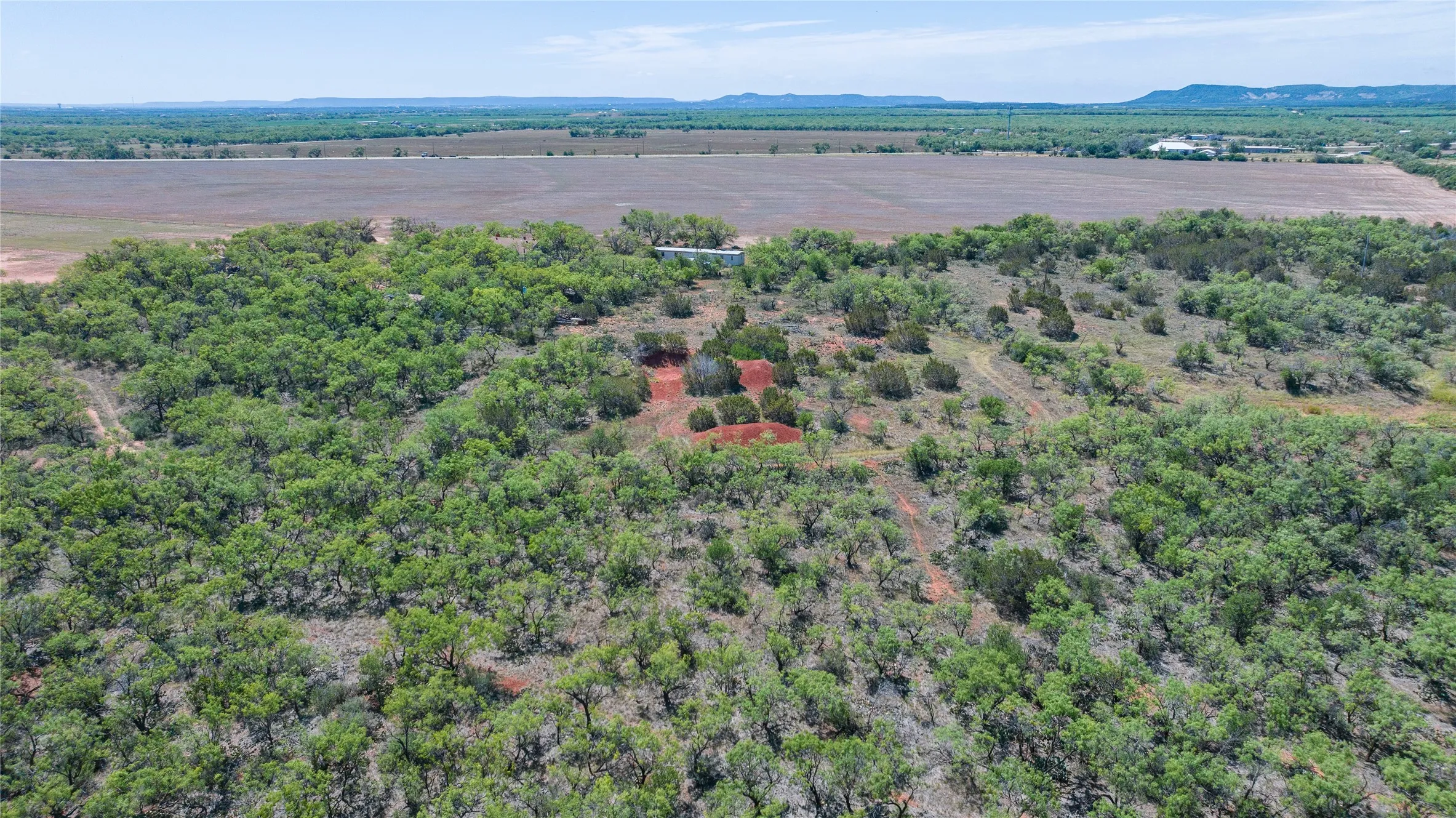 Unimproved Land For Sale in Taylor County , TBD 42 County Road 318, Abilene, Texas 79606, 0, 0, Garage spaces, 0 Sqft, built in 0, Price $475,000, mls#21130831, Real Estate Agent in Abilene, Homes For Sale in Taylor county, Homes For Sale in Abilene, Realtor in Abilene Texas, Real Estate Brokerage Independent Realty Texas, Luminita Cordes Realtor