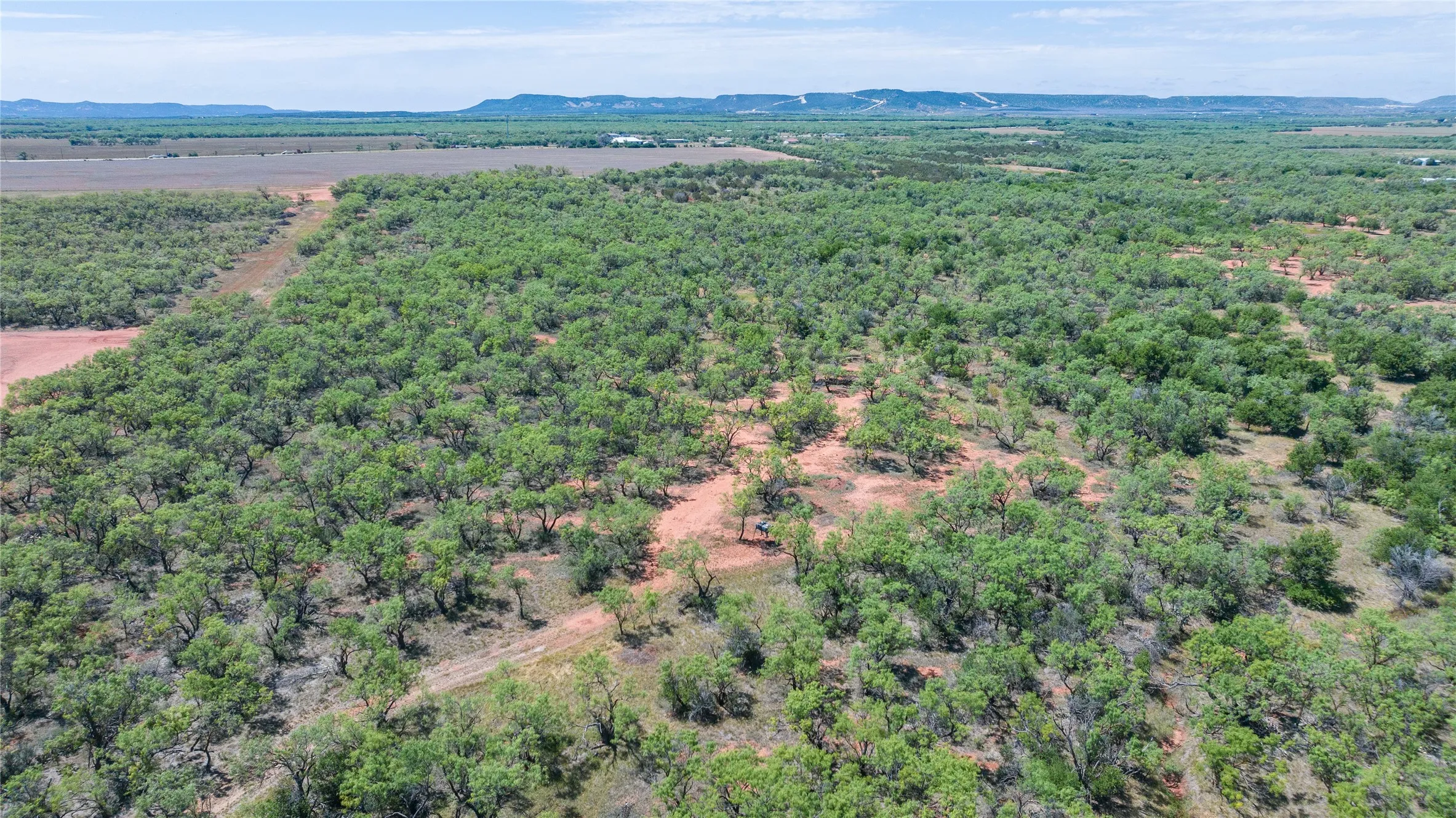 Unimproved Land For Sale in Taylor County , TBD 42 County Road 318, Abilene, Texas 79606, 0, 0, Garage spaces, 0 Sqft, built in 0, Price $475,000, mls#21130831, Real Estate Agent in Abilene, Homes For Sale in Taylor county, Homes For Sale in Abilene, Realtor in Abilene Texas, Real Estate Brokerage Independent Realty Texas, Luminita Cordes Realtor
