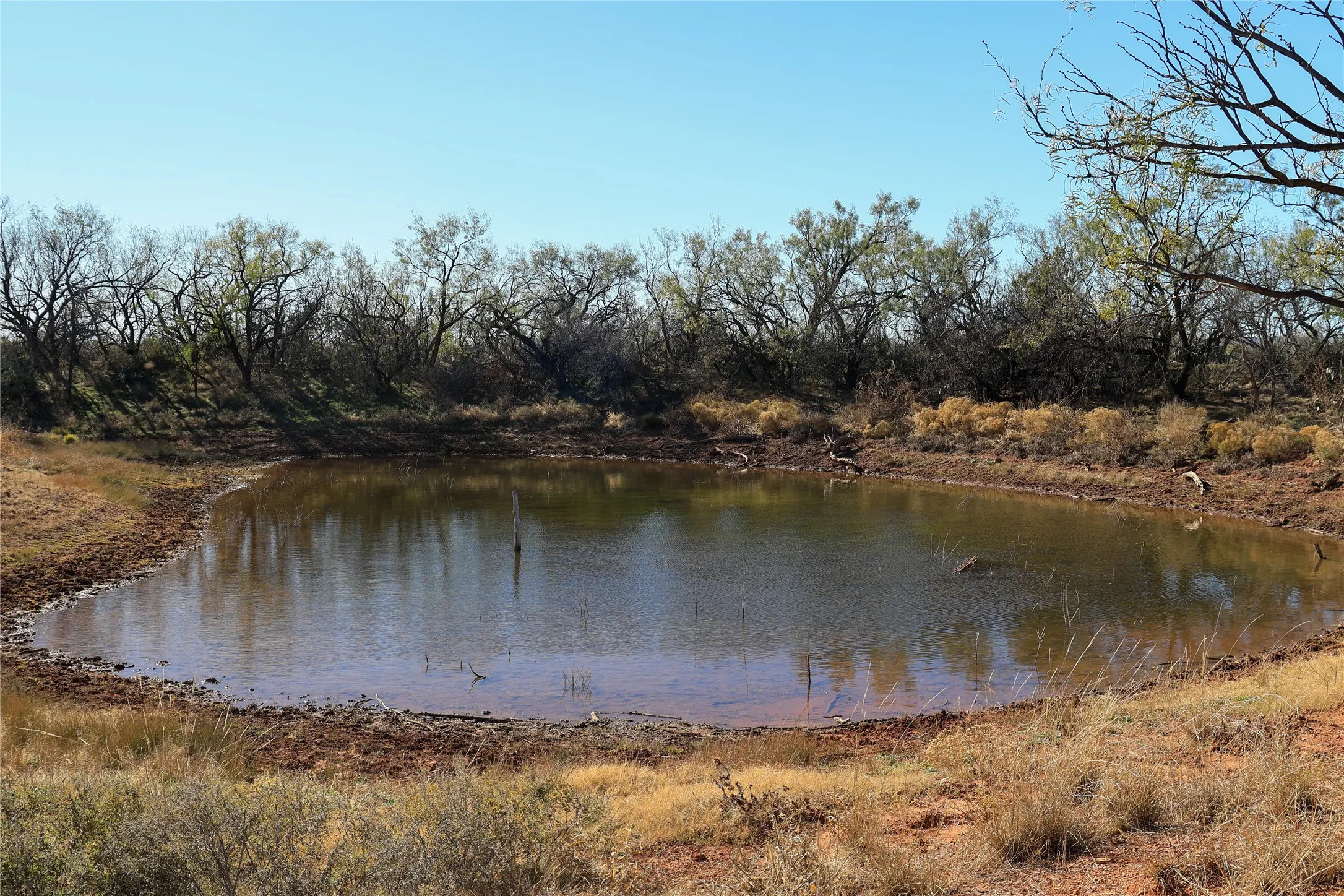 Unimproved Land For Sale in Taylor County , TBD 42 County Road 318, Abilene, Texas 79606, 0, 0, Garage spaces, 0 Sqft, built in 0, Price $475,000, mls#21130831, Real Estate Agent in Abilene, Homes For Sale in Taylor county, Homes For Sale in Abilene, Realtor in Abilene Texas, Real Estate Brokerage Independent Realty Texas, Luminita Cordes Realtor