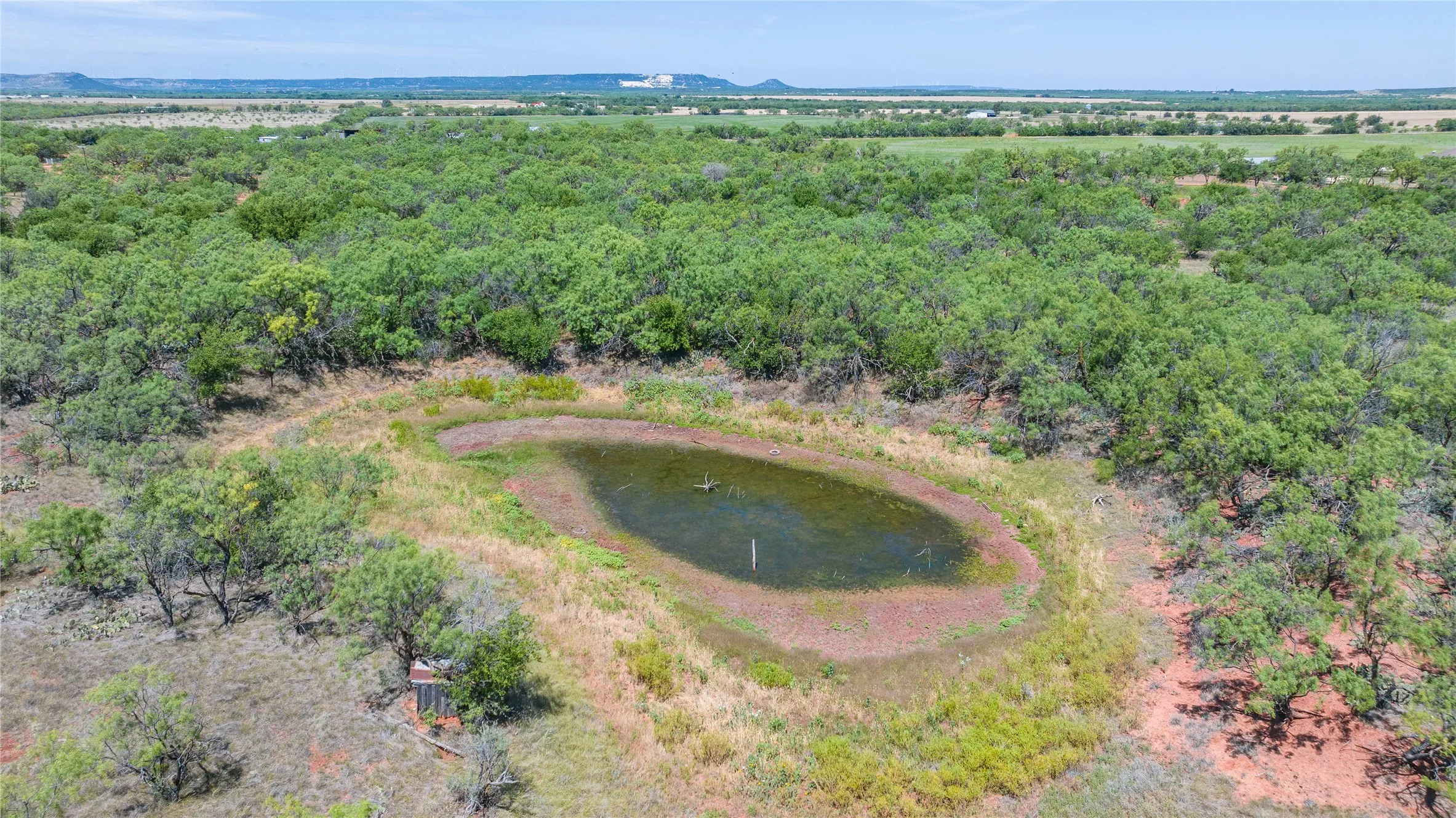 Unimproved Land For Sale in Taylor County , TBD 42 County Road 318, Abilene, Texas 79606, 0, 0, Garage spaces, 0 Sqft, built in 0, Price $475,000, mls#21130831, Real Estate Agent in Abilene, Homes For Sale in Taylor county, Homes For Sale in Abilene, Realtor in Abilene Texas, Real Estate Brokerage Independent Realty Texas, Luminita Cordes Realtor