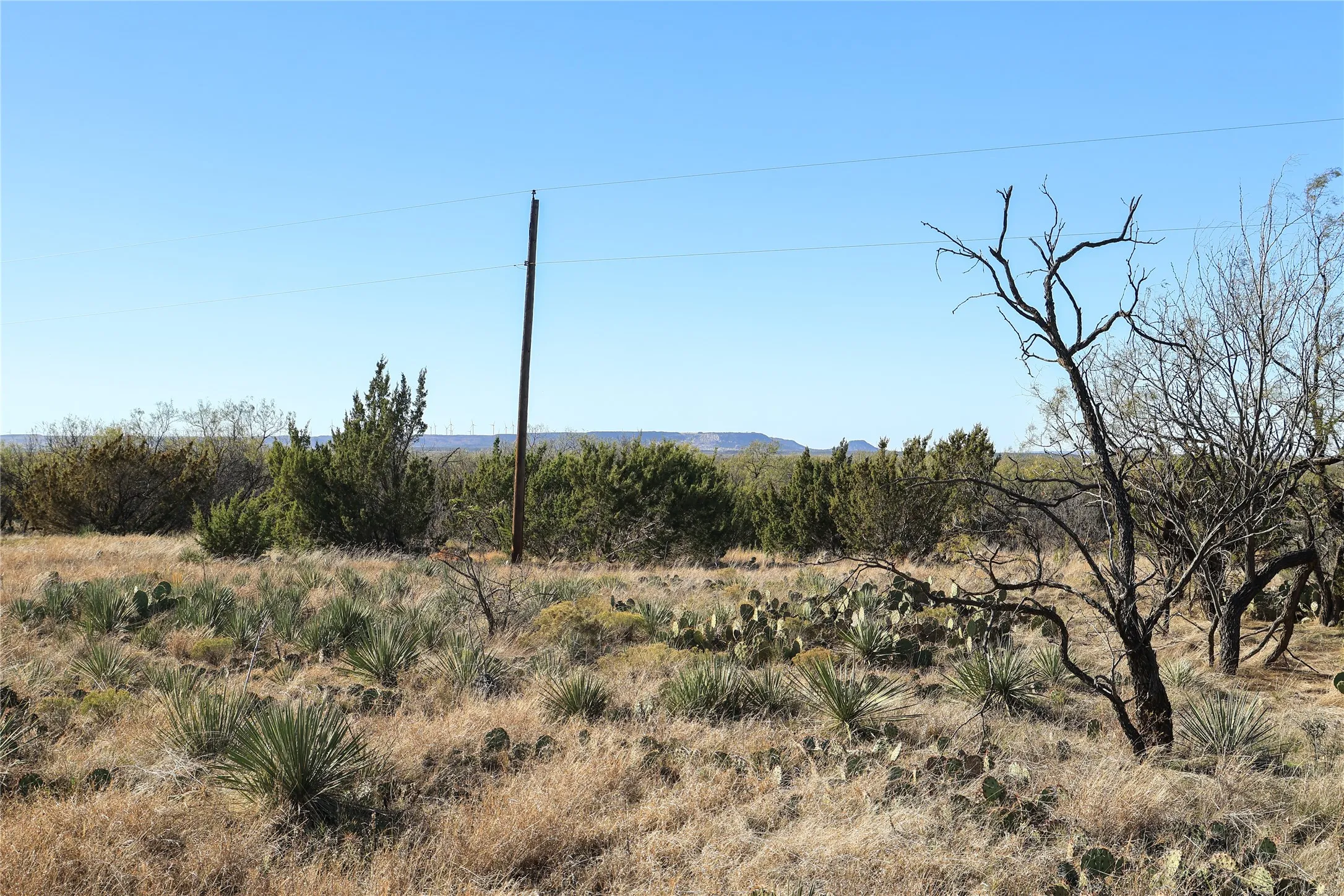Unimproved Land For Sale in Taylor County , TBD 42 County Road 318, Abilene, Texas 79606, 0, 0, Garage spaces, 0 Sqft, built in 0, Price $475,000, mls#21130831, Real Estate Agent in Abilene, Homes For Sale in Taylor county, Homes For Sale in Abilene, Realtor in Abilene Texas, Real Estate Brokerage Independent Realty Texas, Luminita Cordes Realtor