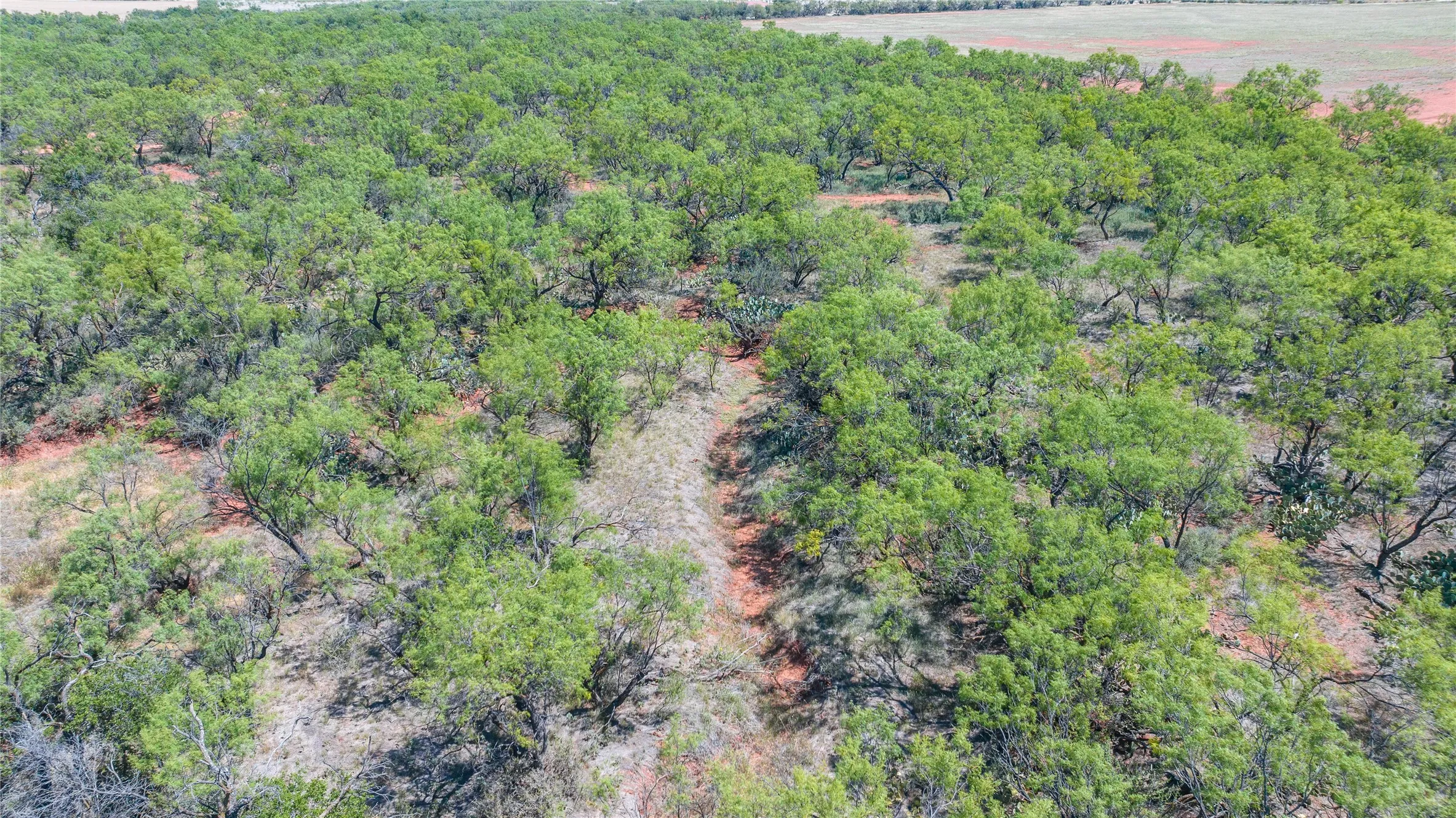 Unimproved Land For Sale in Taylor County , TBD 42 County Road 318, Abilene, Texas 79606, 0, 0, Garage spaces, 0 Sqft, built in 0, Price $475,000, mls#21130831, Real Estate Agent in Abilene, Homes For Sale in Taylor county, Homes For Sale in Abilene, Realtor in Abilene Texas, Real Estate Brokerage Independent Realty Texas, Luminita Cordes Realtor