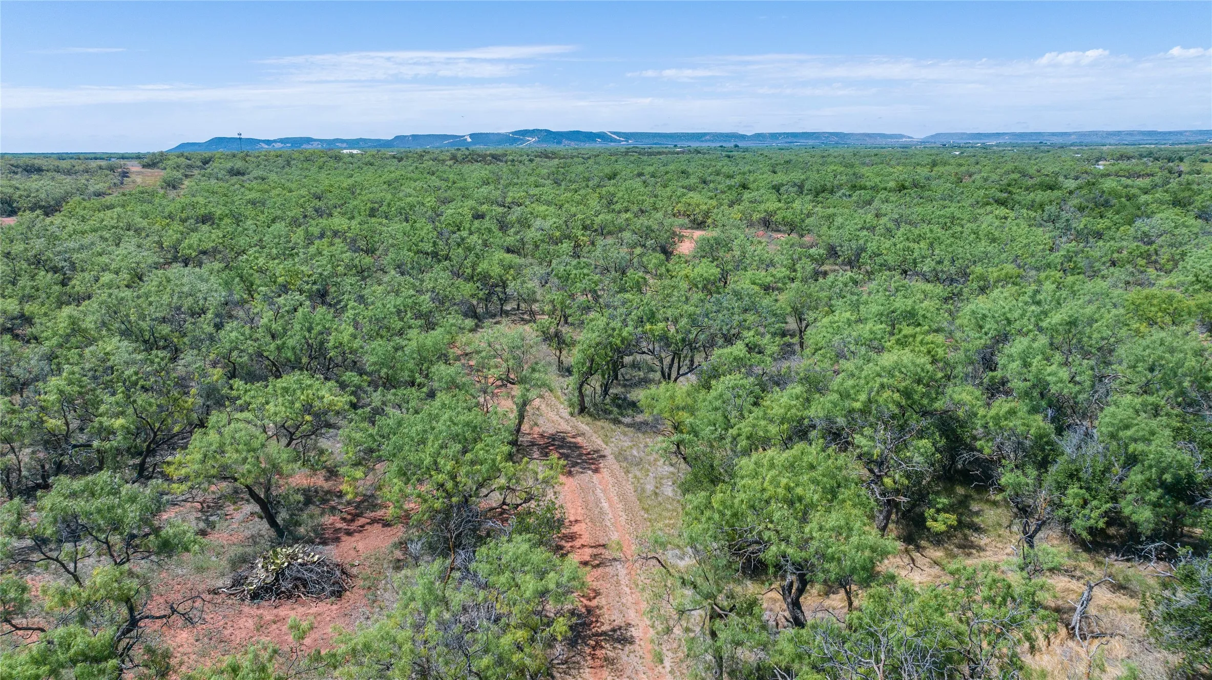 Unimproved Land For Sale in Taylor County , TBD 42 County Road 318, Abilene, Texas 79606, 0, 0, Garage spaces, 0 Sqft, built in 0, Price $475,000, mls#21130831, Real Estate Agent in Abilene, Homes For Sale in Taylor county, Homes For Sale in Abilene, Realtor in Abilene Texas, Real Estate Brokerage Independent Realty Texas, Luminita Cordes Realtor