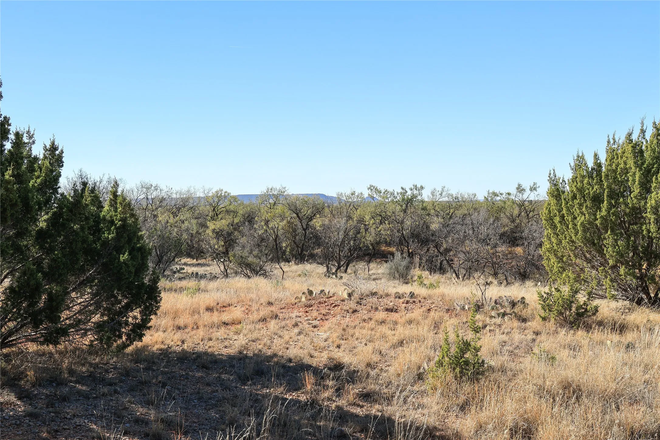 Unimproved Land For Sale in Taylor County , TBD 42 County Road 318, Abilene, Texas 79606, 0, 0, Garage spaces, 0 Sqft, built in 0, Price $475,000, mls#21130831, Real Estate Agent in Abilene, Homes For Sale in Taylor county, Homes For Sale in Abilene, Realtor in Abilene Texas, Real Estate Brokerage Independent Realty Texas, Luminita Cordes Realtor