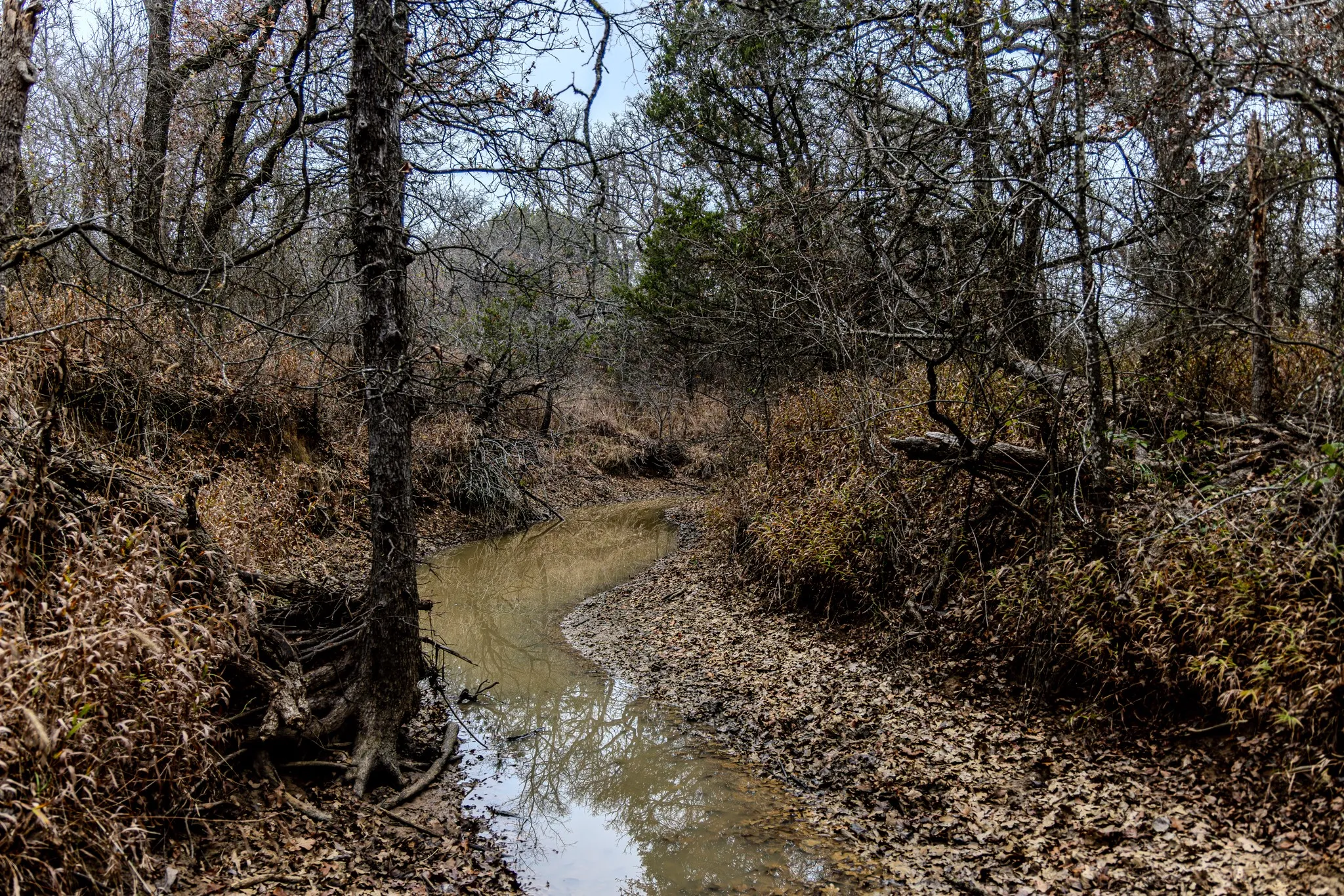 Rambling Creek