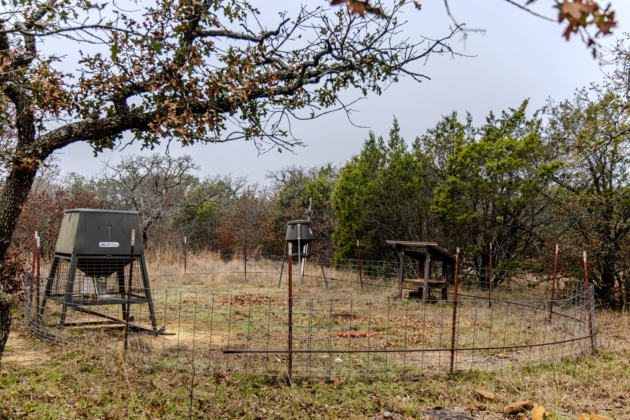 Deer Feeder