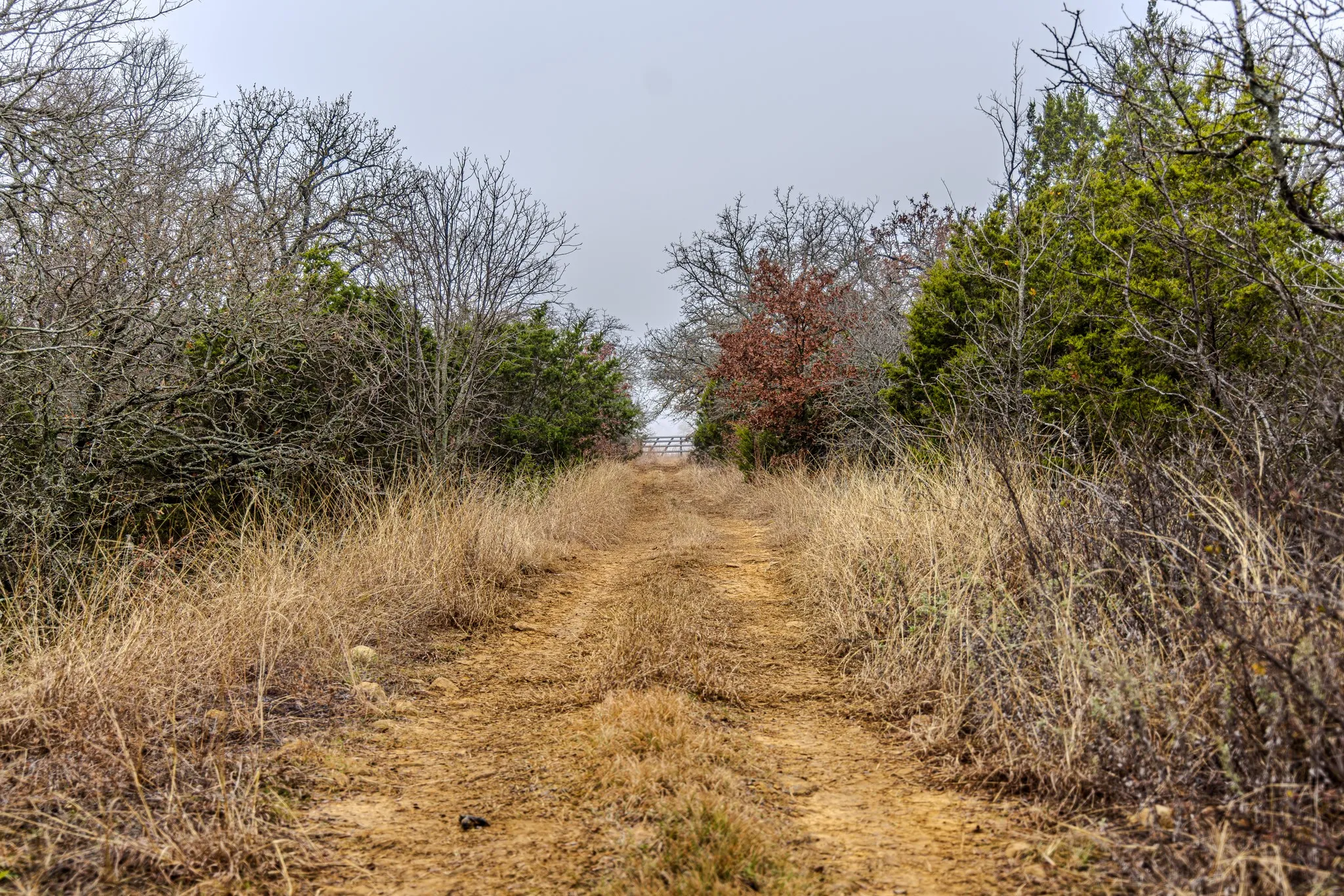 One of many trails/clearings