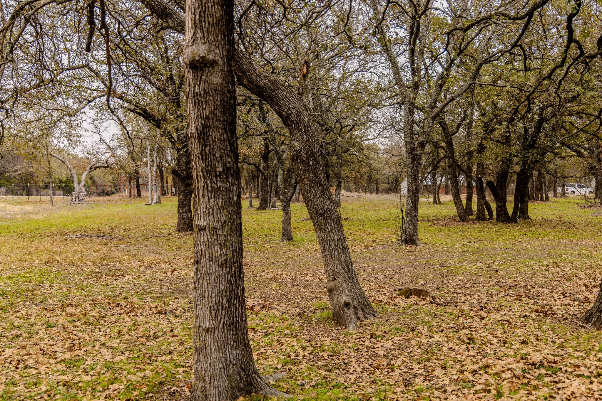 Single Family Residence For Sale in Palo Pinto County , 2946 FM 52, Graford, Texas 76449, 2 Bedrooms, 1 Bathroom, Garage spaces, 1,200 Sqft, built in 2011, Price $1,875,000, mls#21127478, Real Estate Agent in Graford, Homes For Sale in Palo Pinto county, Homes For Sale in Graford, Realtor in Graford Texas, Real Estate Brokerage Independent Realty Texas, Luminita Cordes Realtor