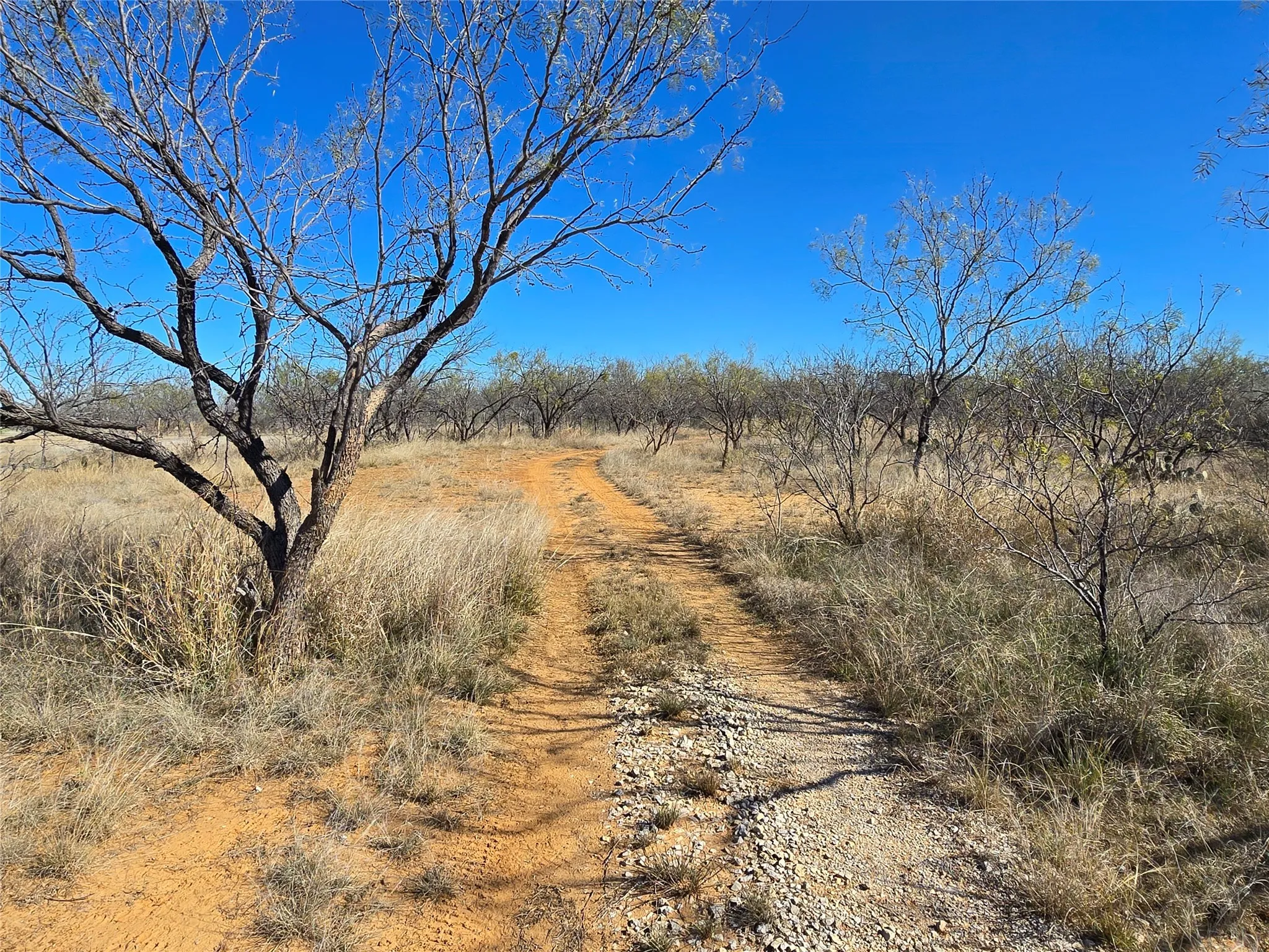Ranch For Sale in San Saba County , 5780 County Road 266, Rochelle, Texas 76872, 0, 0, Garage spaces, 0 Sqft, built in 0, mls#21131574, Real Estate Agent in Rochelle, Homes For Sale in San Saba county, Homes For Sale in Rochelle, Realtor in Rochelle Texas, Real Estate Brokerage Independent Realty Texas, Luminita Cordes Realtor