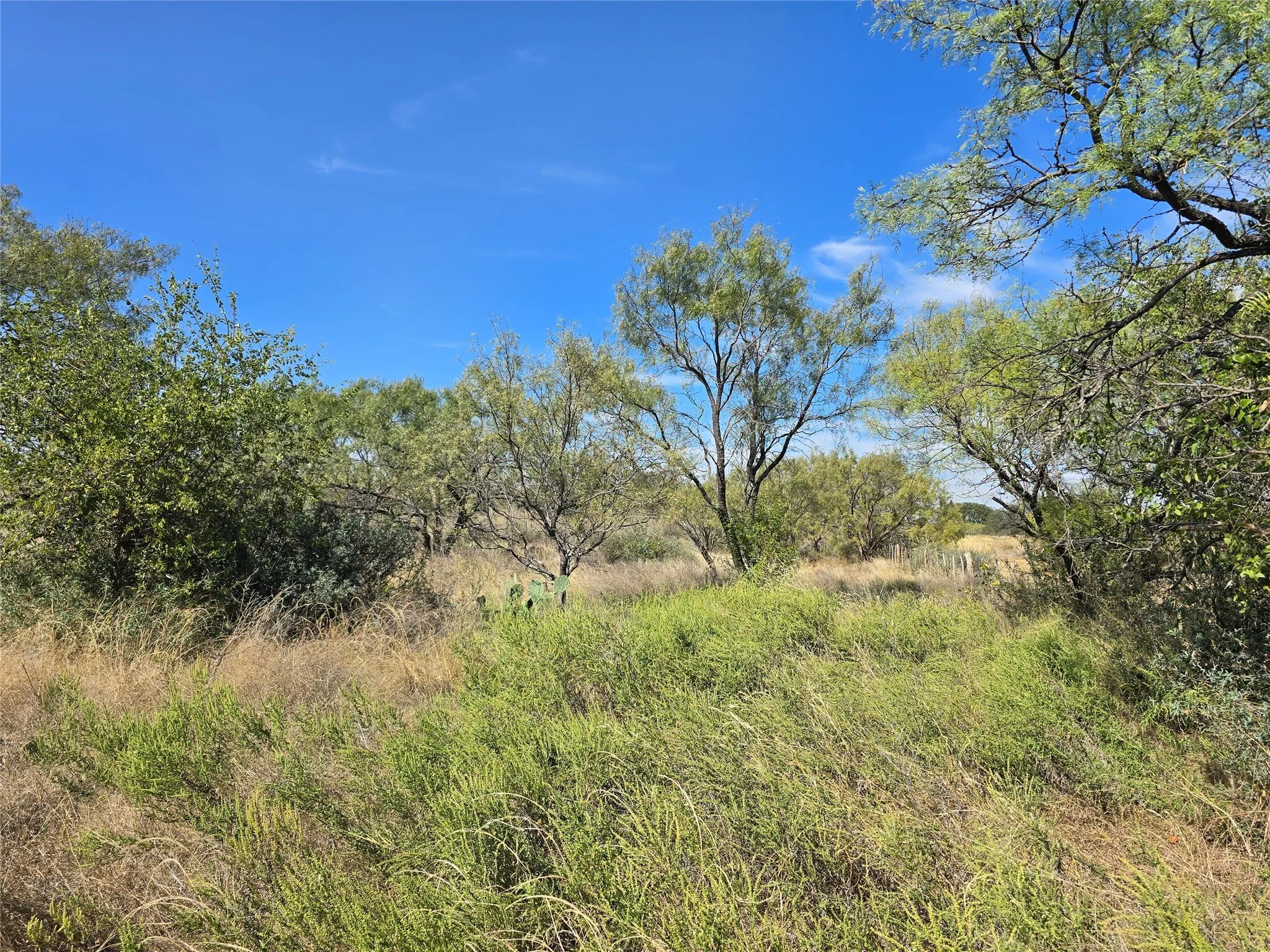 Ranch For Sale in San Saba County , 5780 County Road 266, Rochelle, Texas 76872, 0, 0, Garage spaces, 0 Sqft, built in 0, mls#21131574, Real Estate Agent in Rochelle, Homes For Sale in San Saba county, Homes For Sale in Rochelle, Realtor in Rochelle Texas, Real Estate Brokerage Independent Realty Texas, Luminita Cordes Realtor